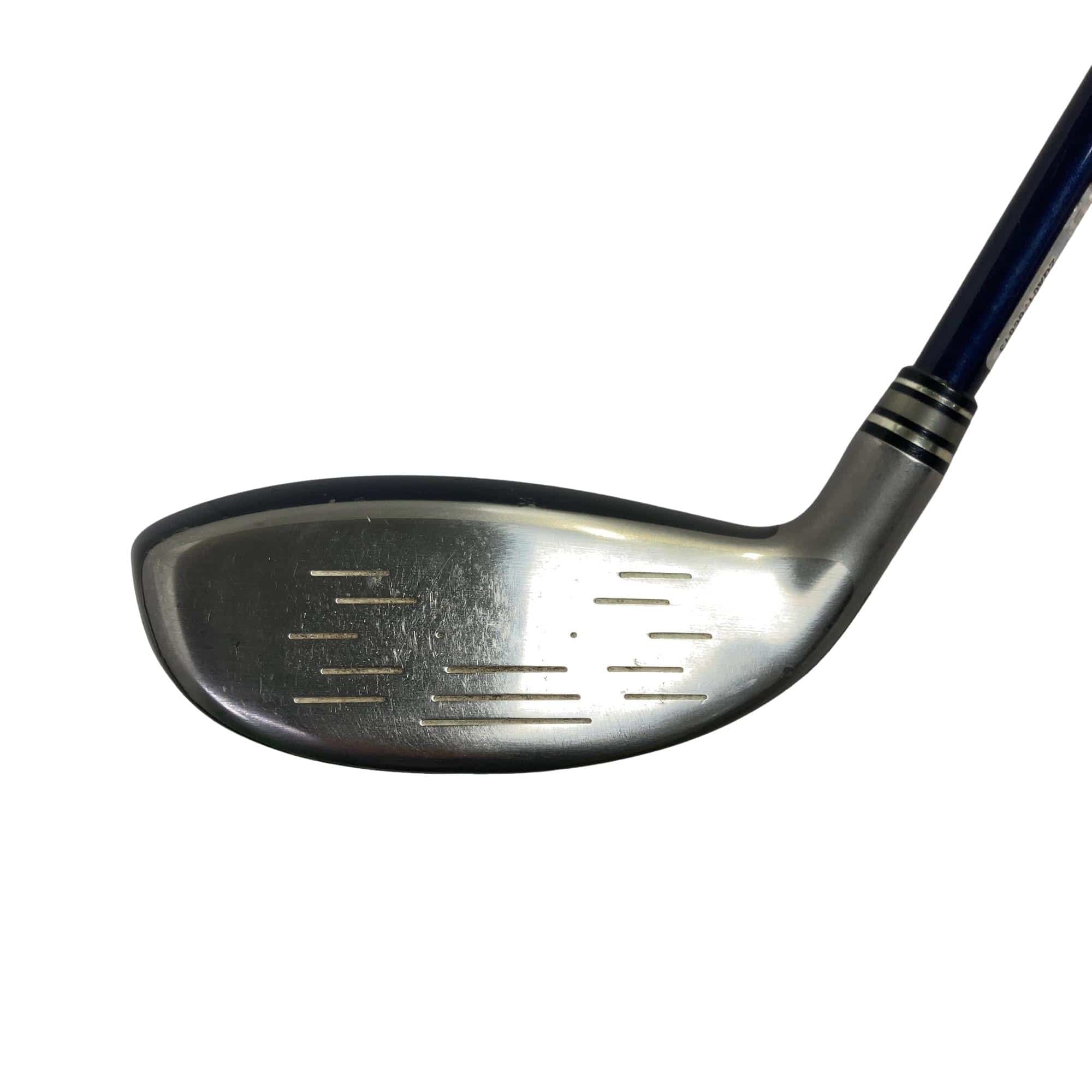 �w�w�h�n�i�Q�O�P�W�j�@�g�T