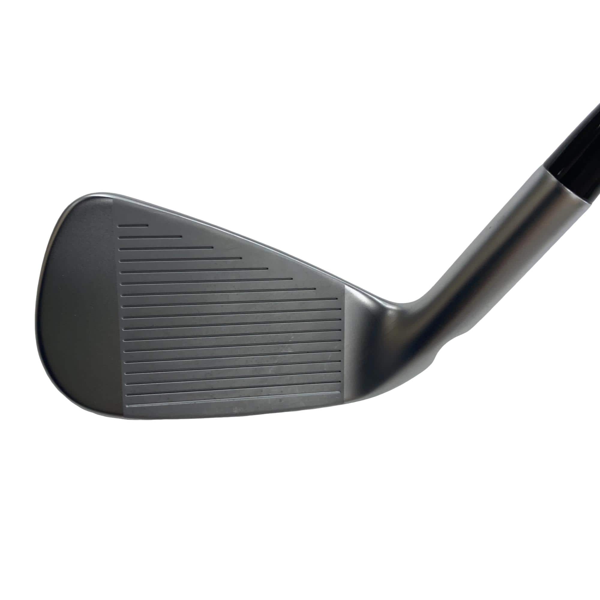 ���T�R�O�@�T�r�i���{���F�T�{�Z�b�g�j