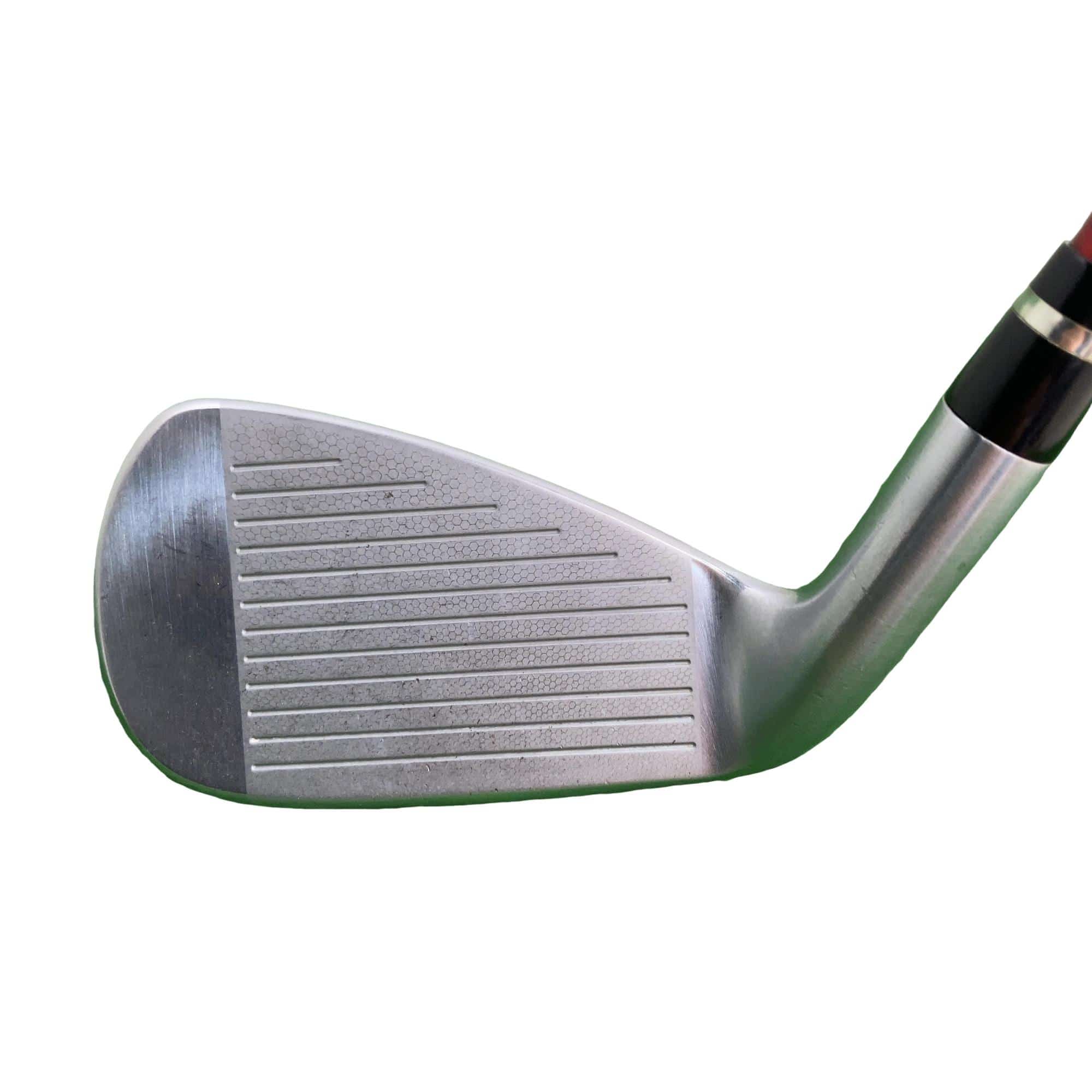 �������������@�q�l�w�@�t�c�{�Q�@�S�r�i���{���F�S�{�Z�b�g�j