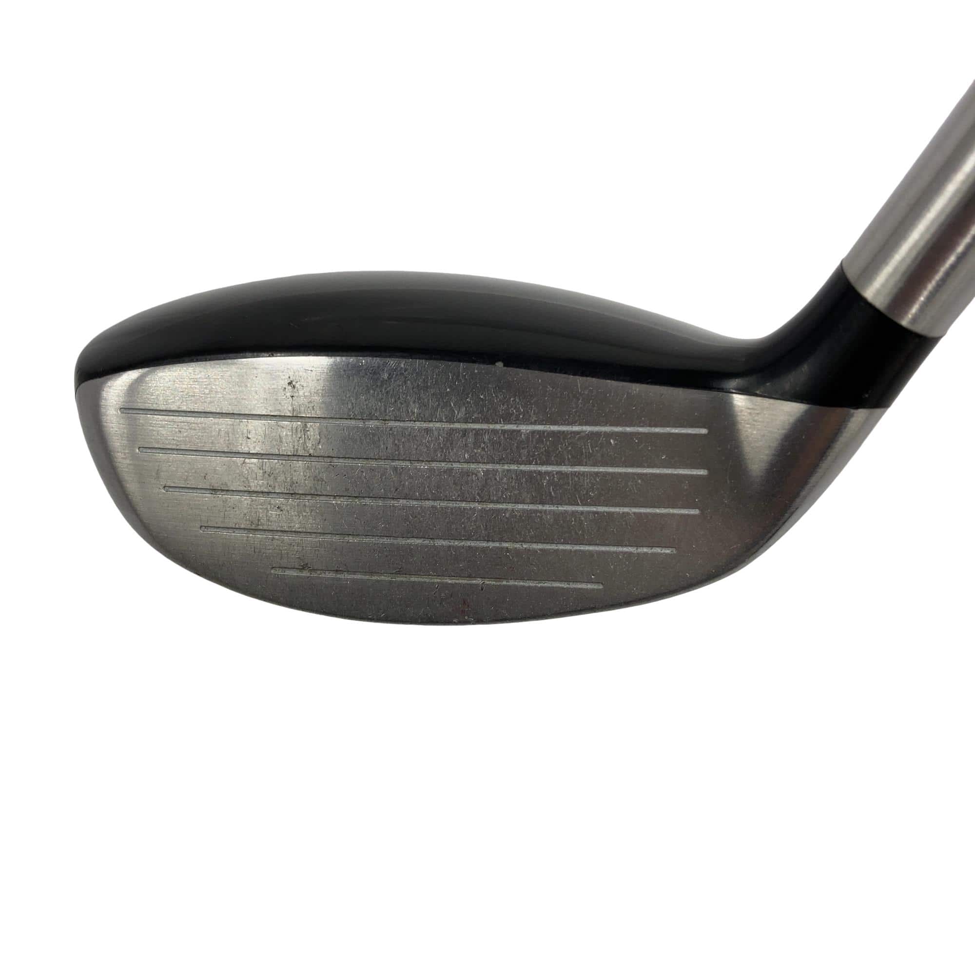 �o�|���������@���[�e�B���e�B�@�t�S