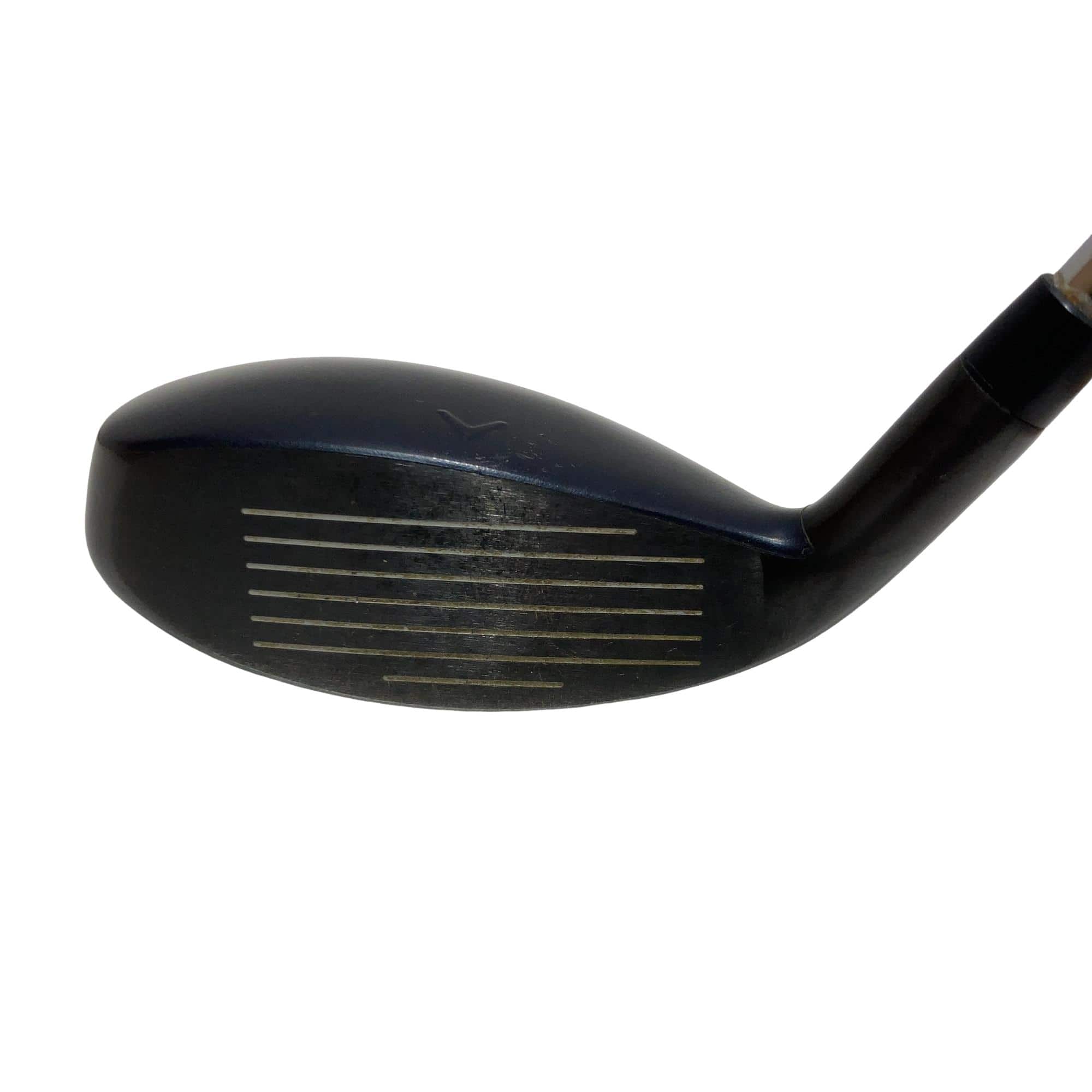 �w�q�@�t�R