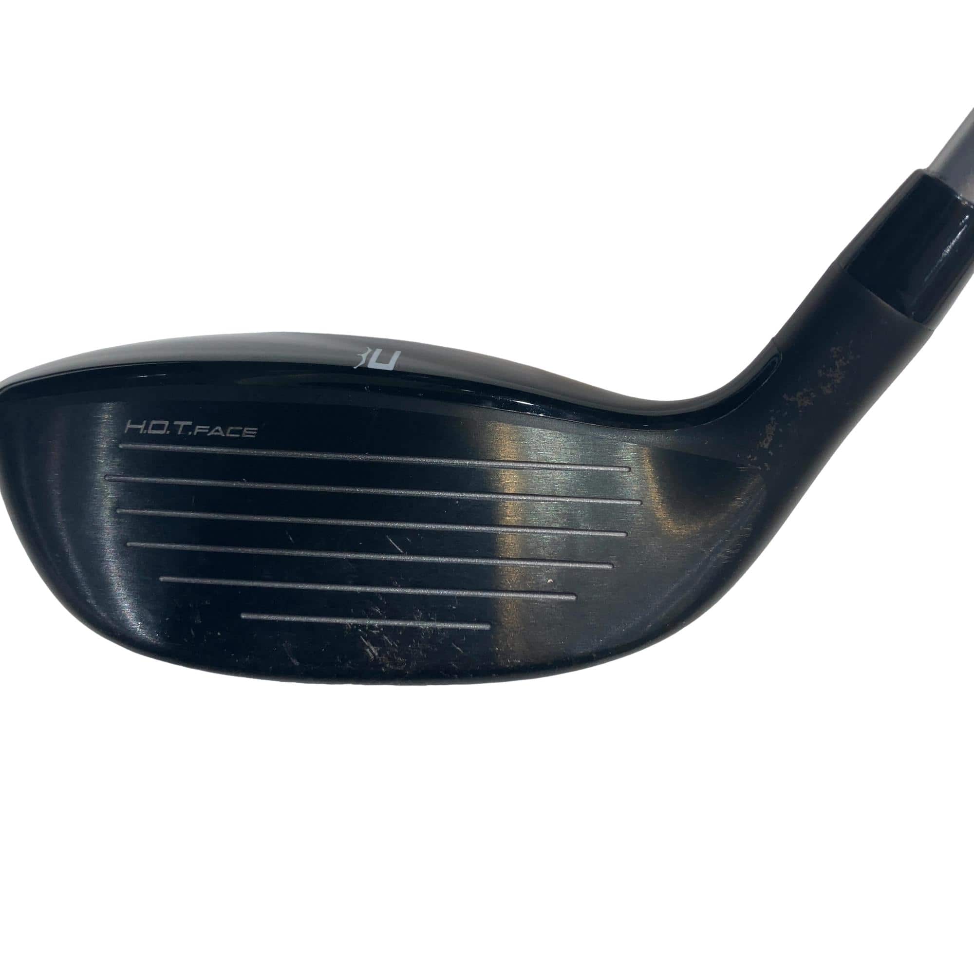 �j�h�m�f�@�k�s�c���@�t�U�@���f�B�[�X