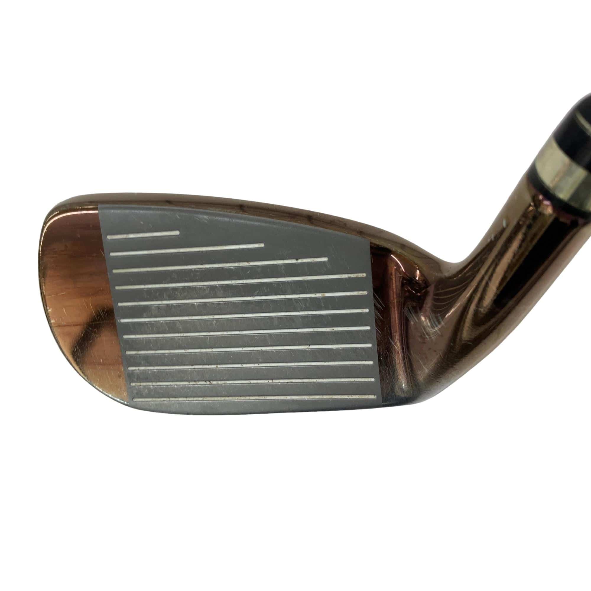 �������@�h�h�@�@�T�r�@���f�B�[�X�i���{���F�T�{�Z�b�g�j