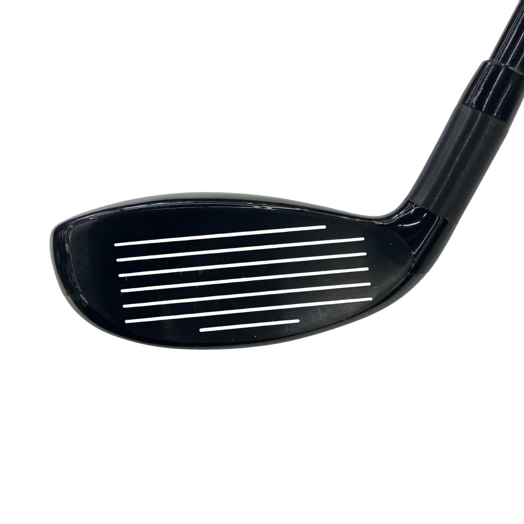 �w�Q�@�g�n�s�@�o�q�n�@�P�W°