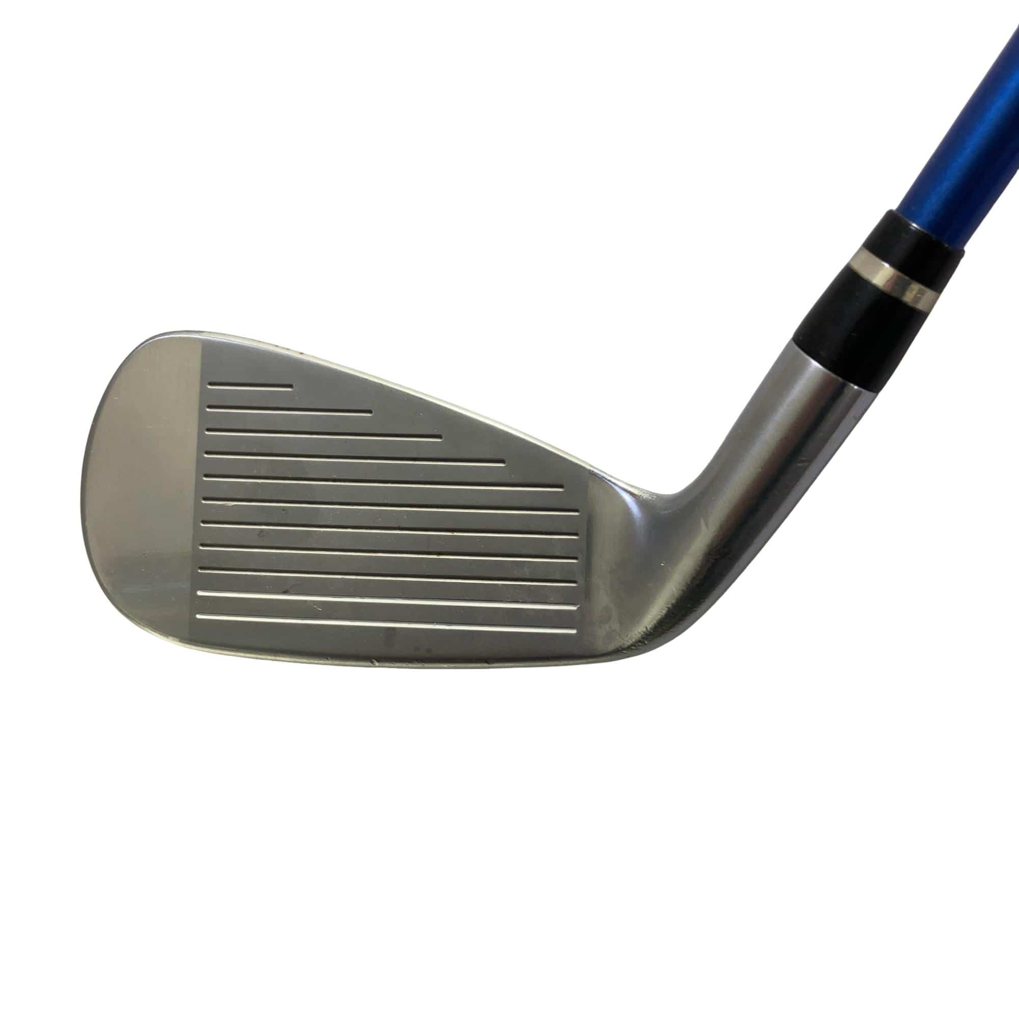 �������������@�t�c�{�Q�@�U�r�i���{���F�U�{�Z�b�g�j