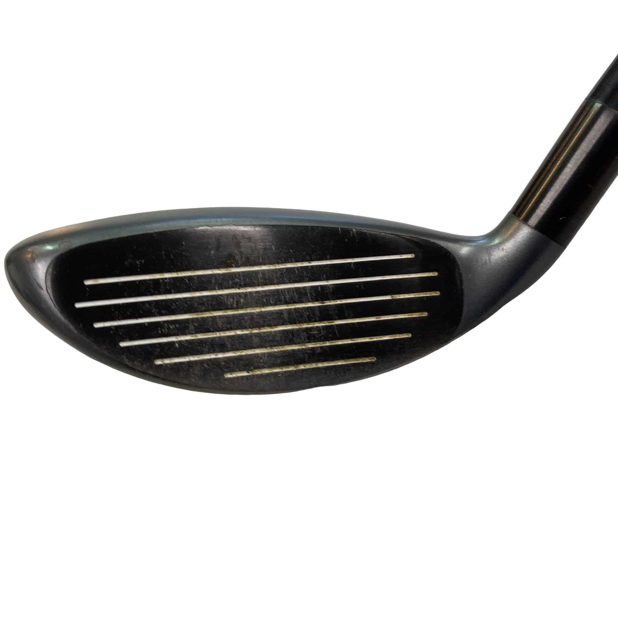 �w�@�g�n�s�@�t�T�@�t�r�`