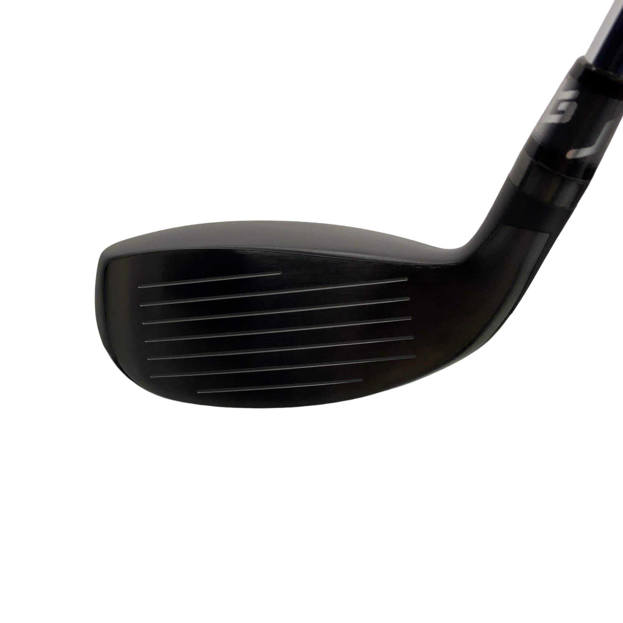 �l�f�@�g�|�P�O�O�@�g�����������@�t�T