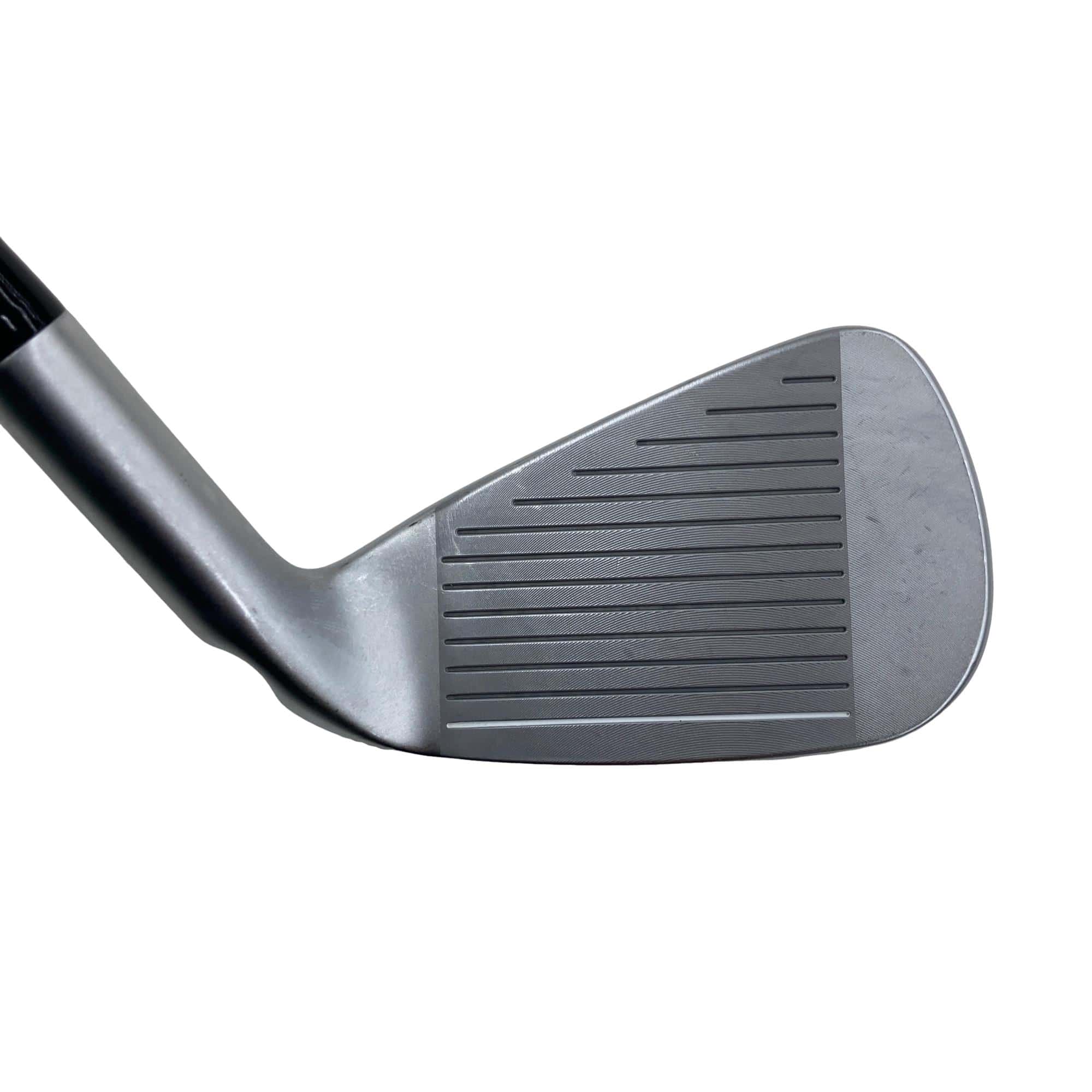 ���Q�S�O�@�T�r�@���t�e�B�i���{���F�T�{�Z�b�g�j