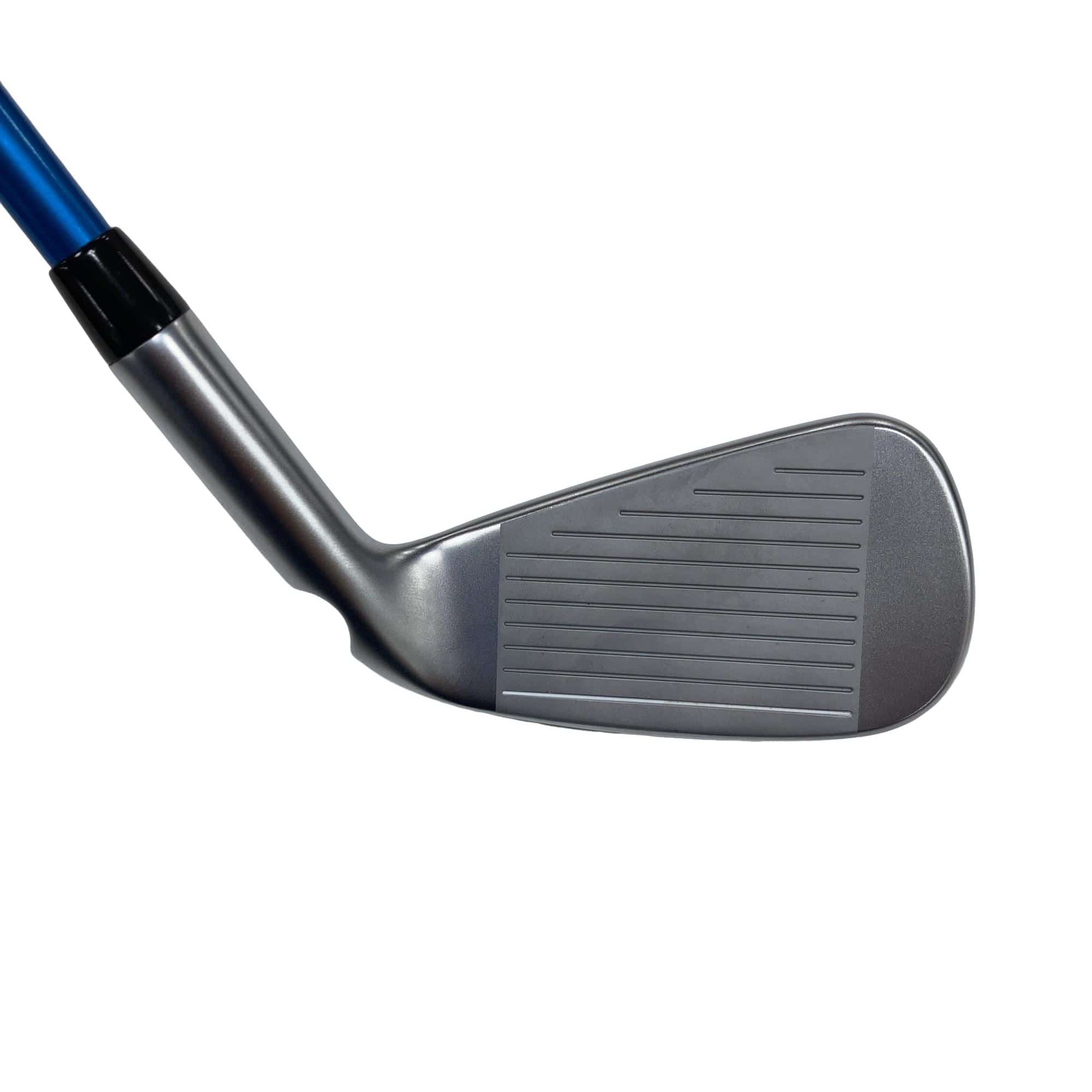 ���c���@�t�S�@���t�e�B