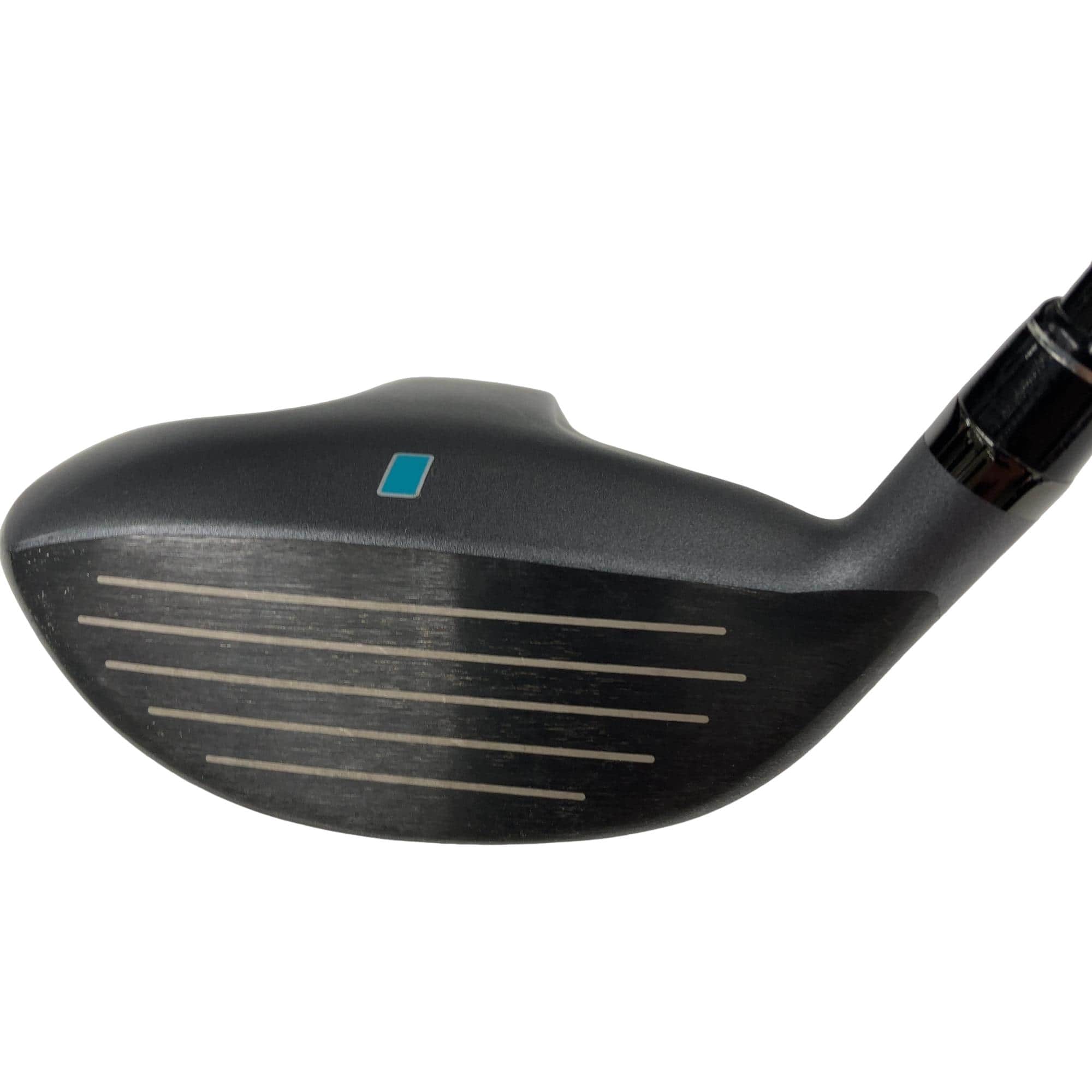 �b�����������@�p�@�t�T