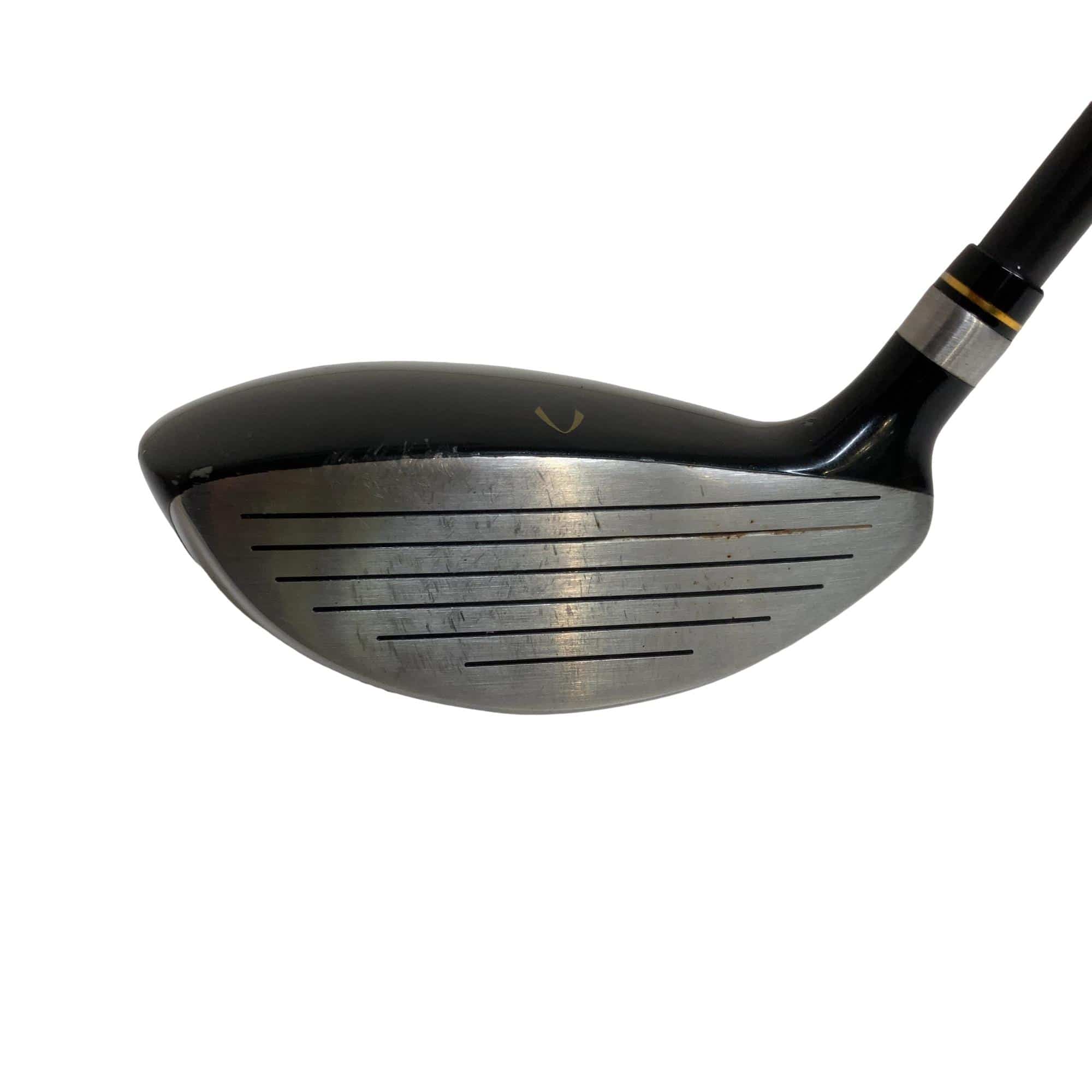 �j�Q�j�@���������O�X���[�e�B���e�B�@�t�T