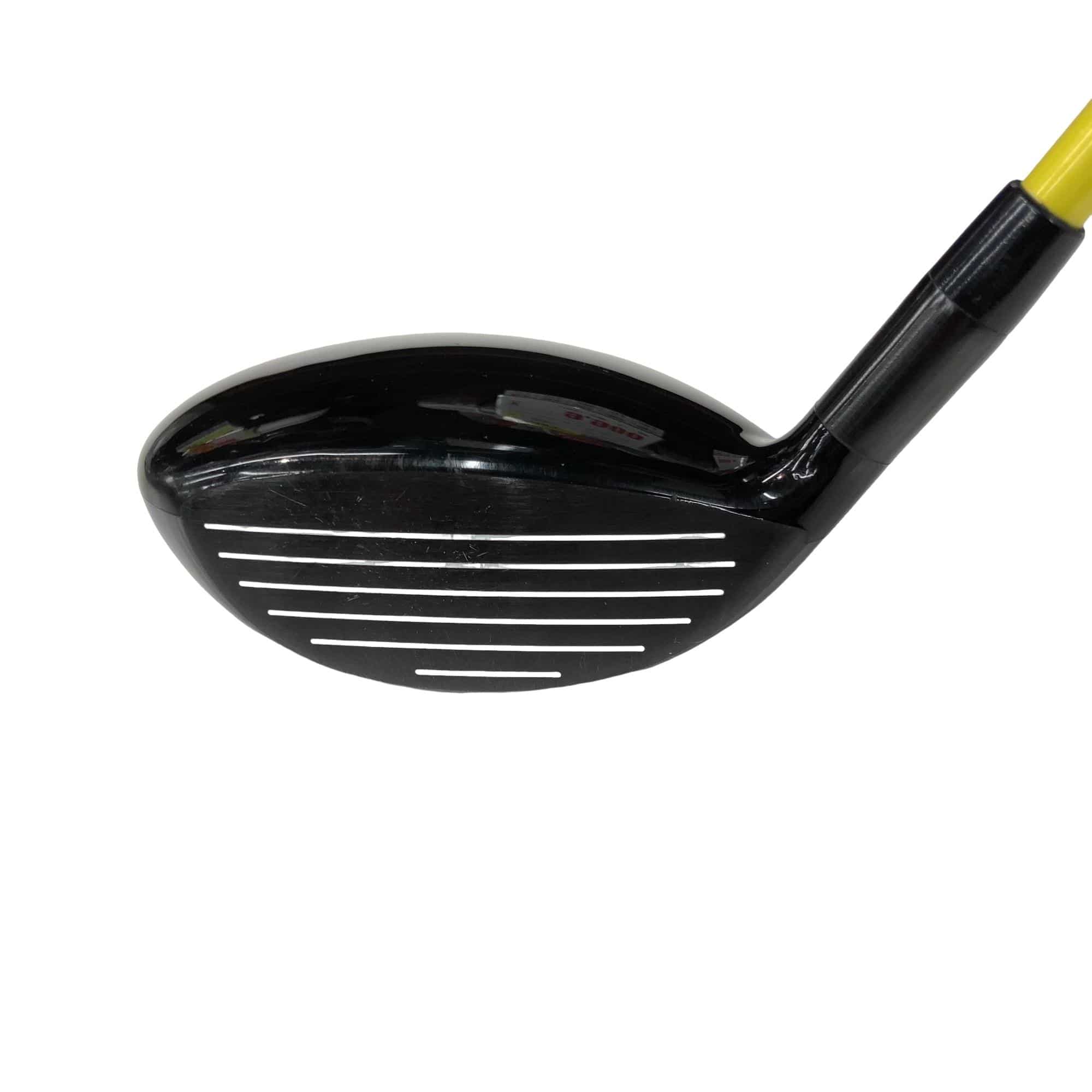 �w�Q�@�g�n�s�@�o�q�n�@�P�T°