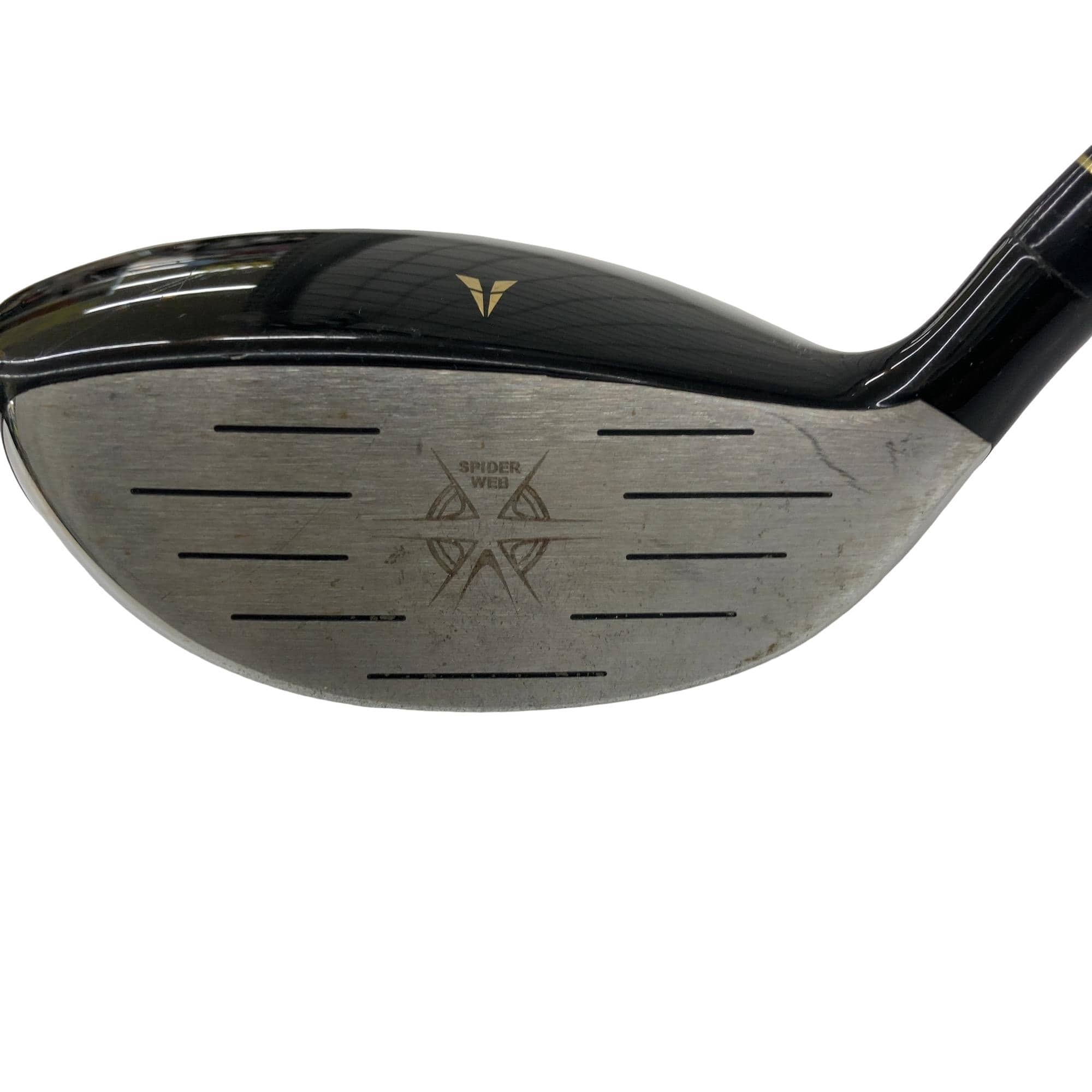 �r�g�t�s�s�k�d�@�s�x�o�d�|�w�@�T�v