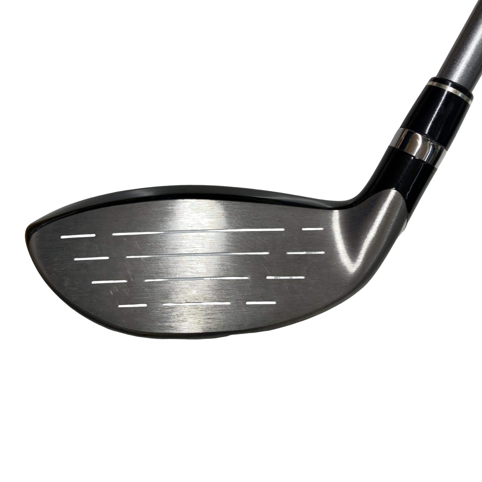 �q�r�@�t�T�@���f�B�[�X