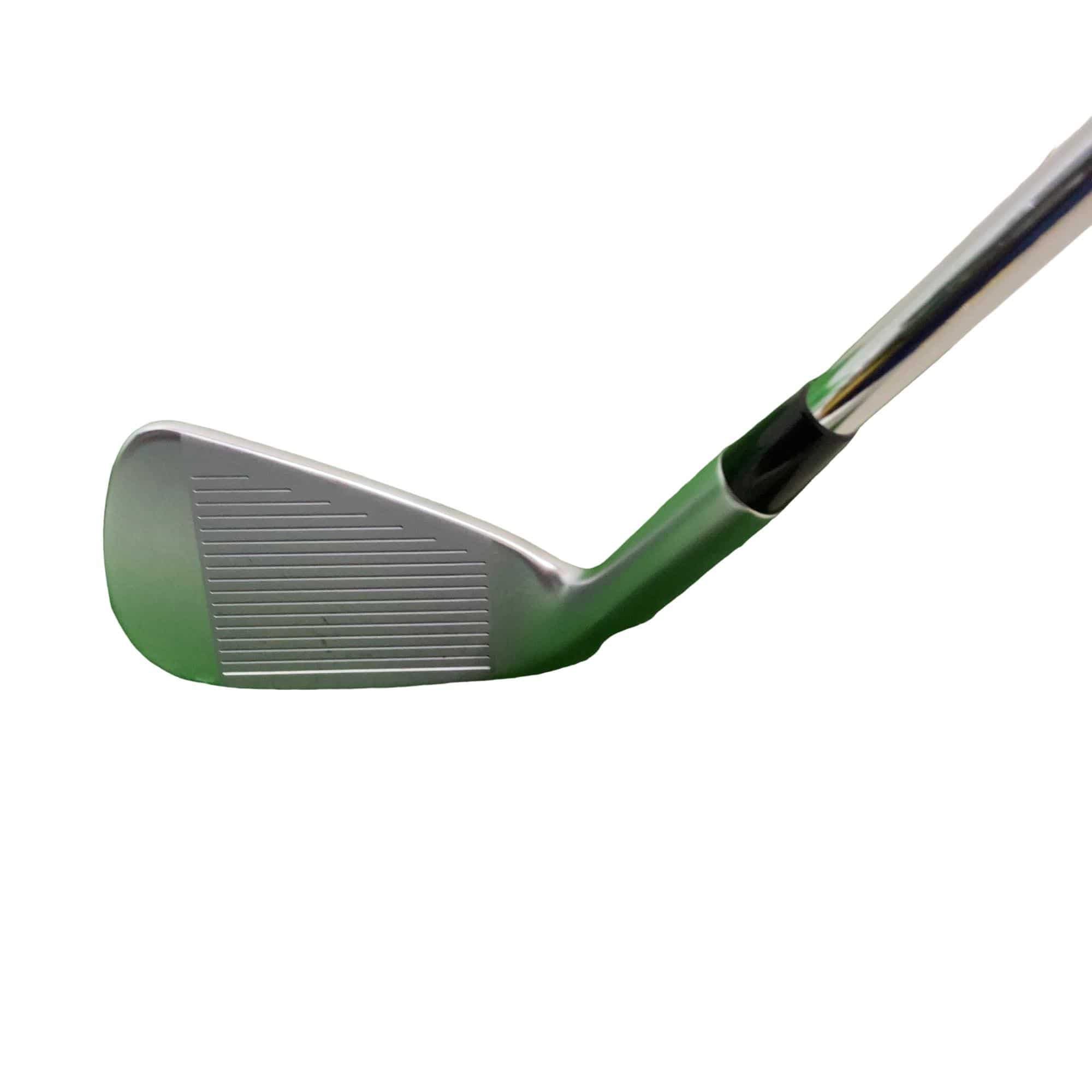 ���T�Q�T�@�V�r�i���{���F�U�{�Z�b�g�j