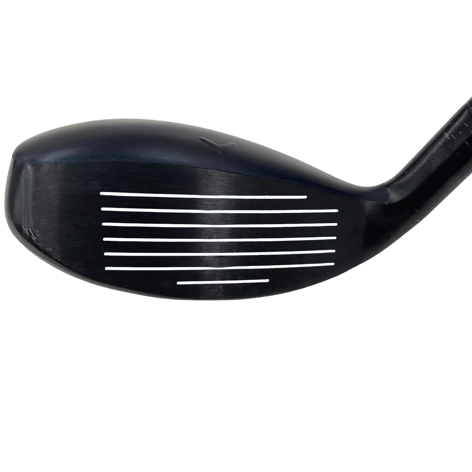 �w�q�@�t�S