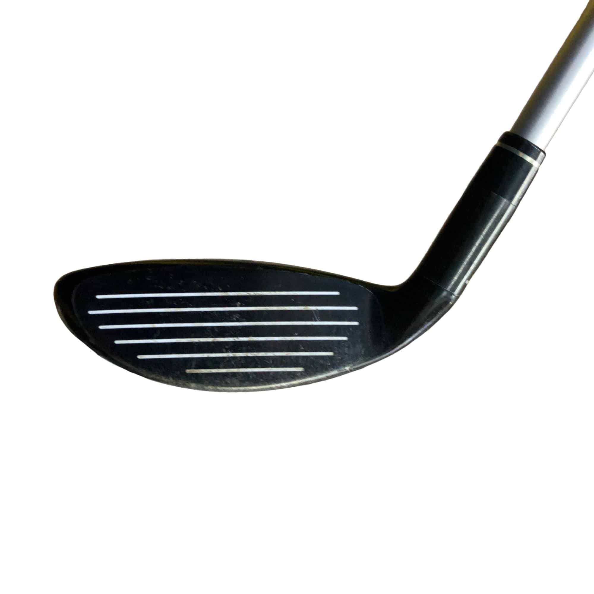 �w�@�g�n�s�@�t�S