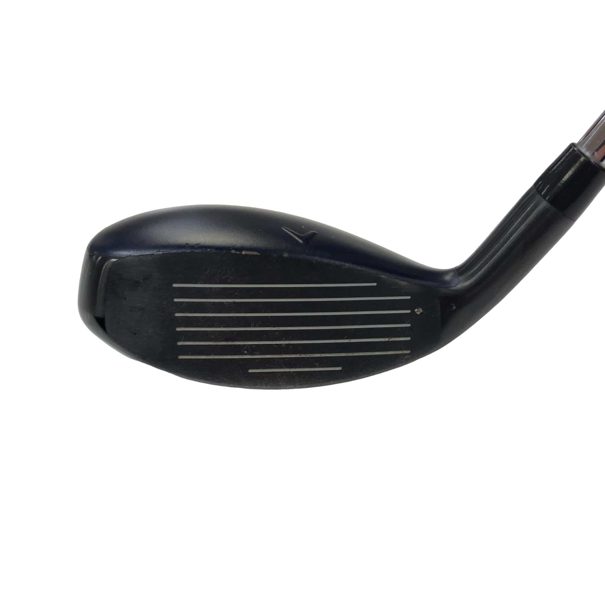 �w�q�@�t�T