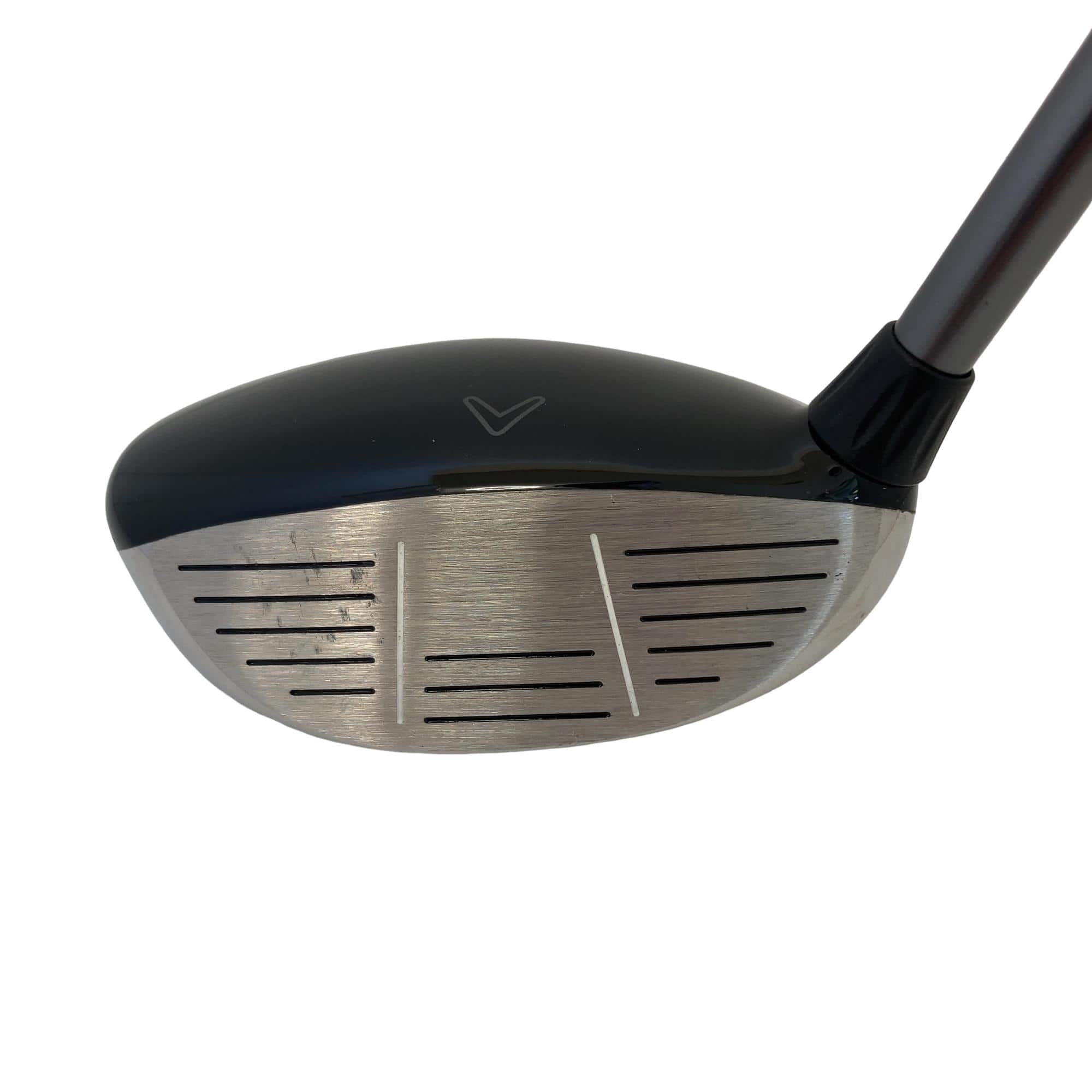 �w�@���[�e�B���e�B�@�R�g�i�Q�P°�j