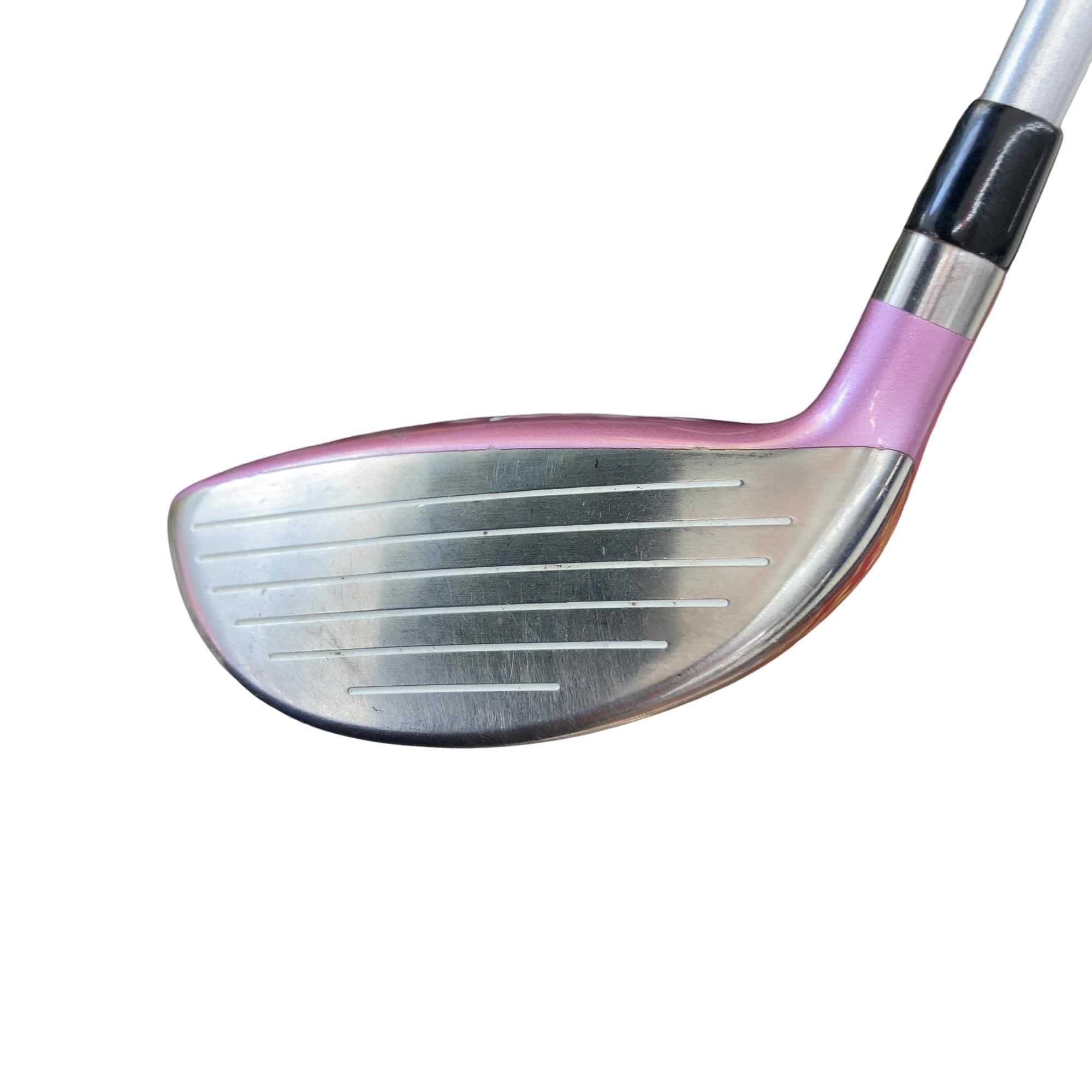 ���������i�Q�O�P�Q�j�@�V�v�@���f�B�[�X