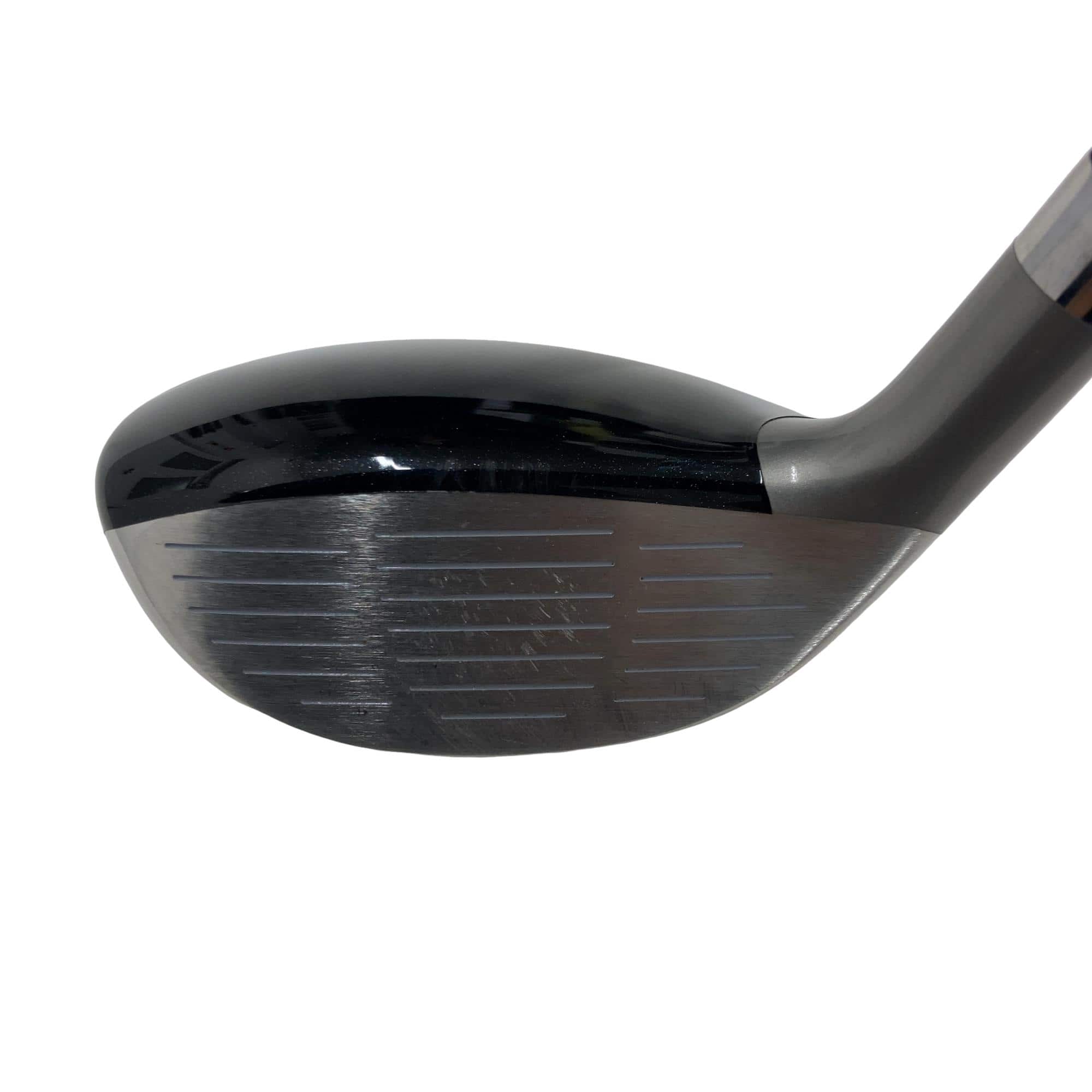 �u�h�b�s�n�q�x�@�q�d�c�@���[�e�B���e�B�@�t�S