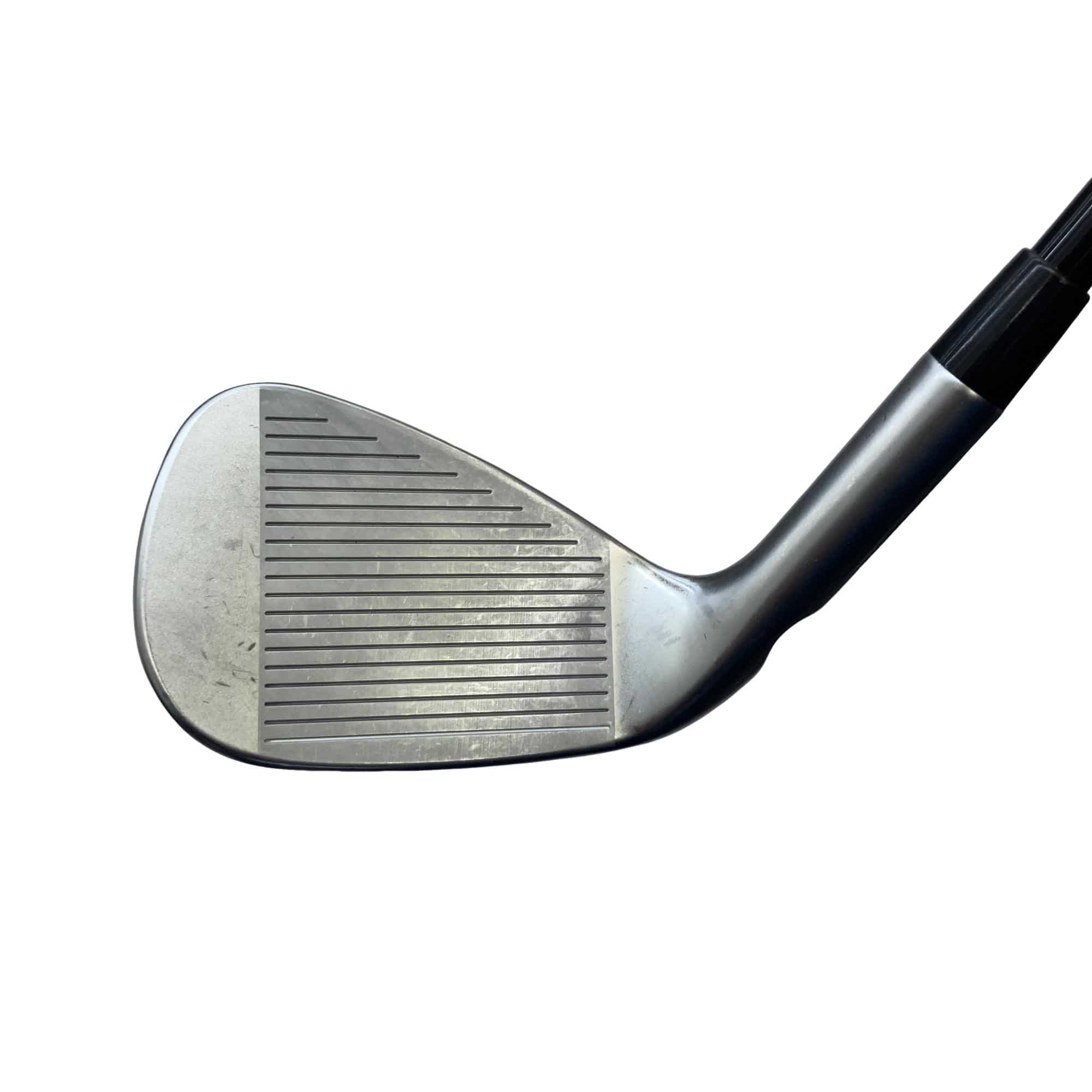 ���T�R�O�@�T�r�i���{���F�T�{�Z�b�g�j