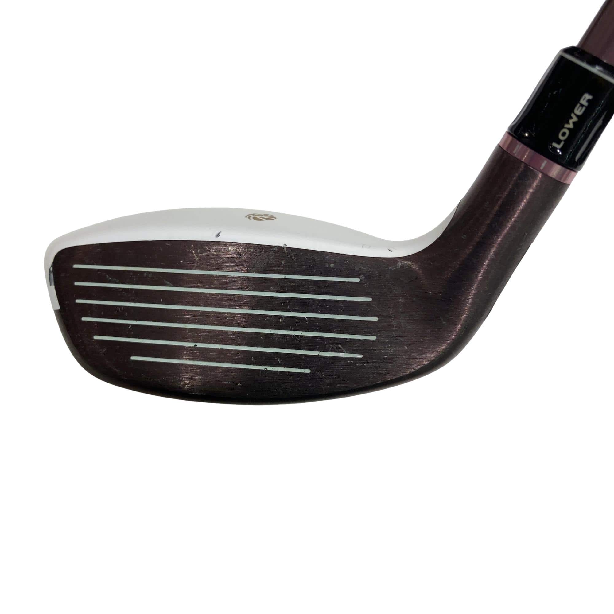 �f�k�n�h�q�d�@���[�e�B���e�B�@�t�S�@���f�B�[�X