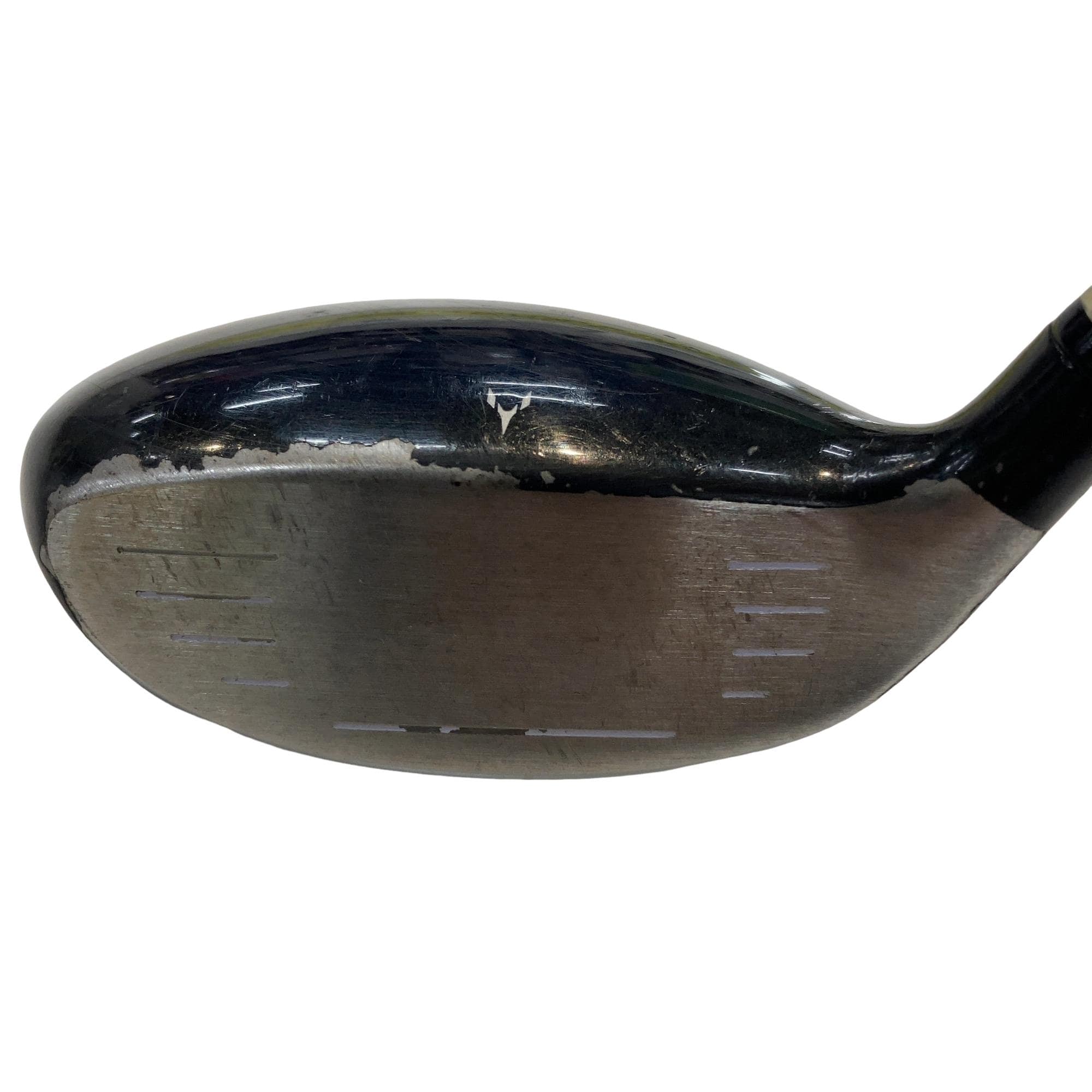 �������������@�t�c�{�Q�@�t�T