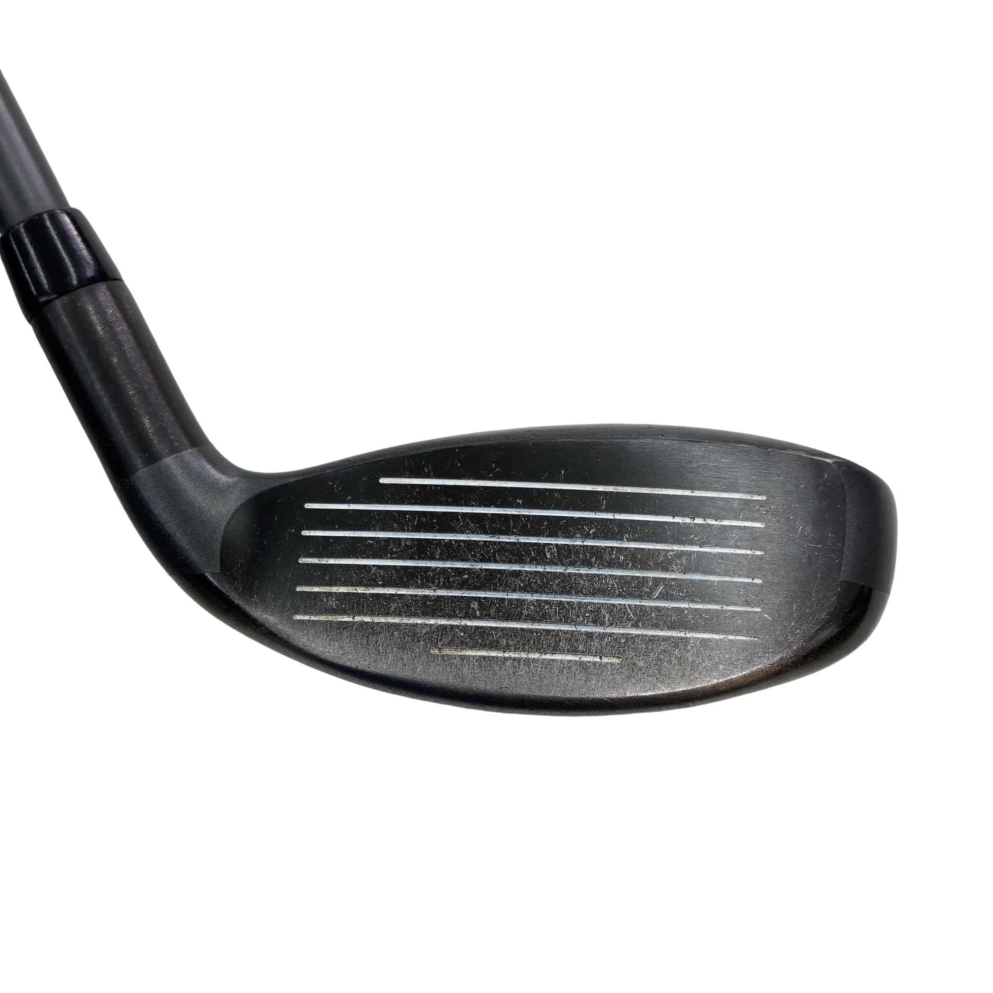 �w�Q�@�g�n�s�@�t�R�@���t�e�B�@�t�r�`