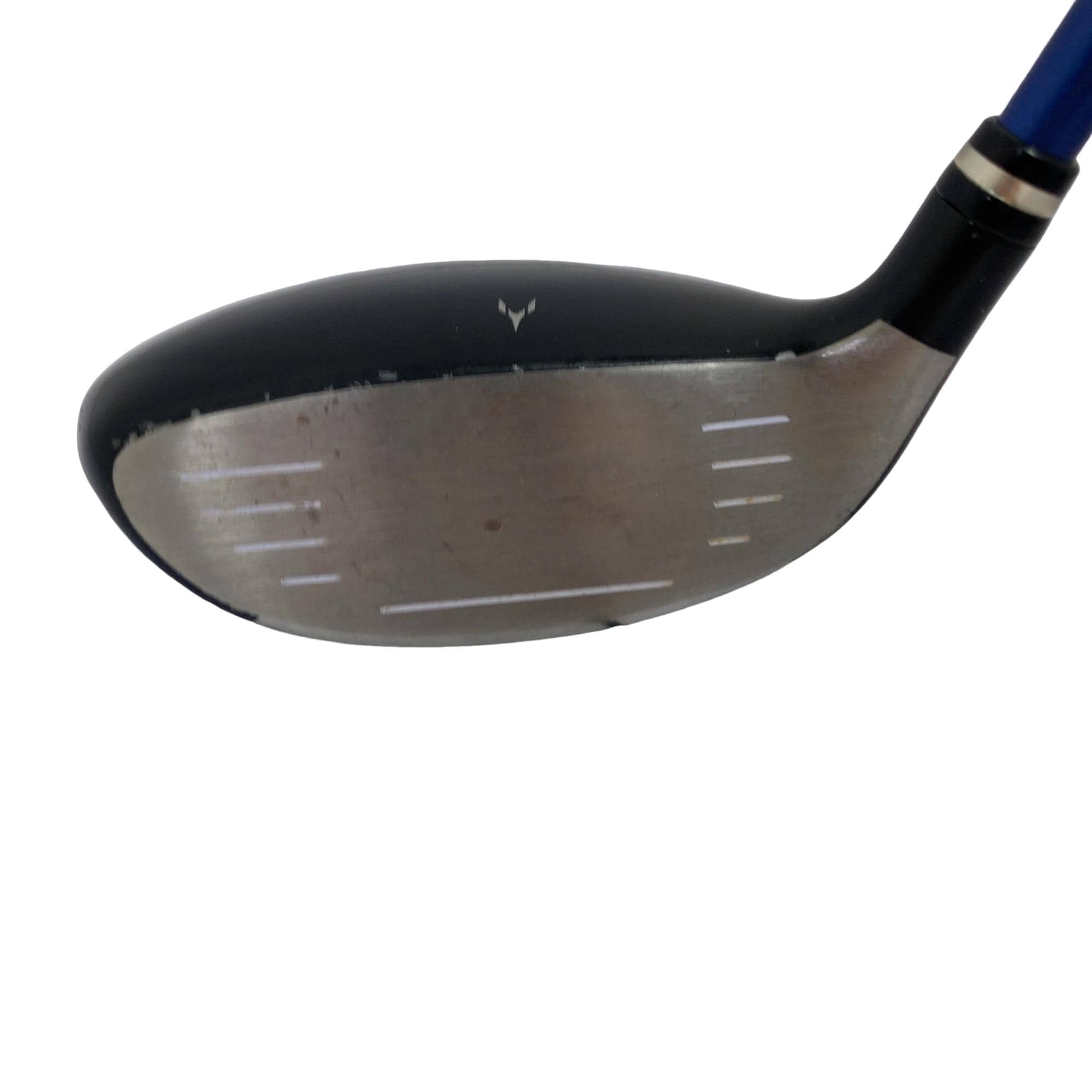 �������������@�t�c�{�Q�@�t�T