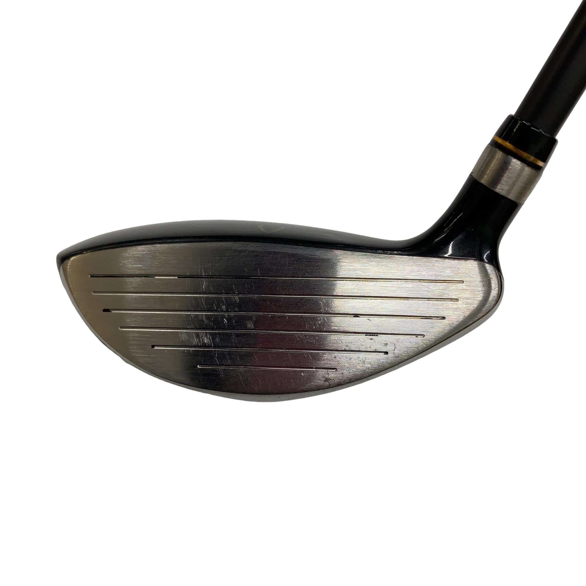 �j�Q�j�@���������O�X���[�e�B���e�B�@�t�T