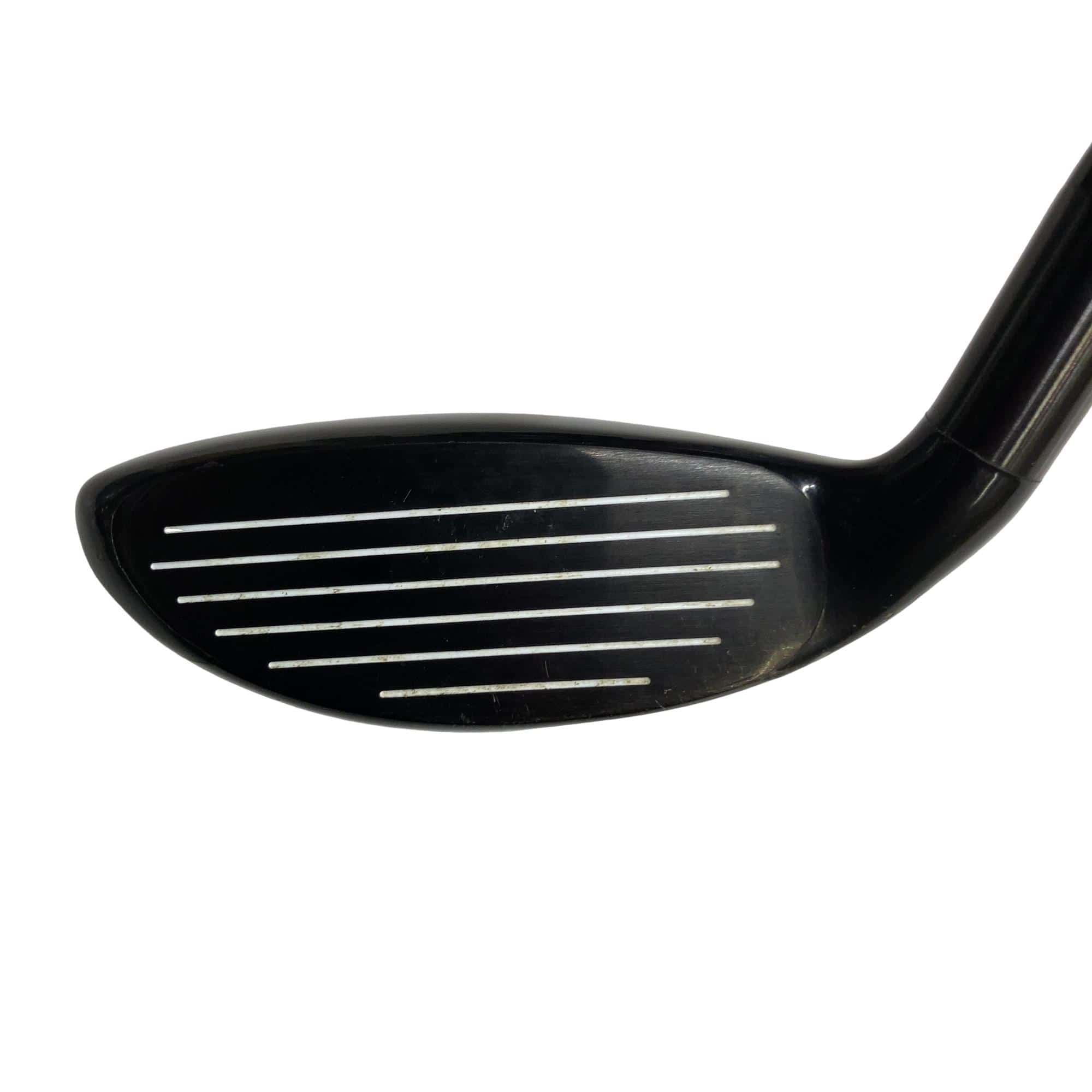 �w�@�g�n�s�@�t�R