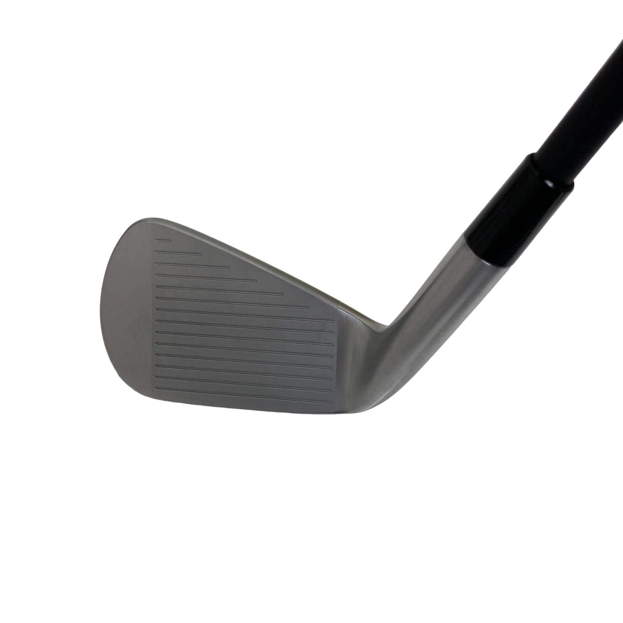 �s�����������@�l�������@�o�E�V�b�a�i�Q�O�Q�S�j�@�T�r�i���{���F�T�{�Z�b�g�j