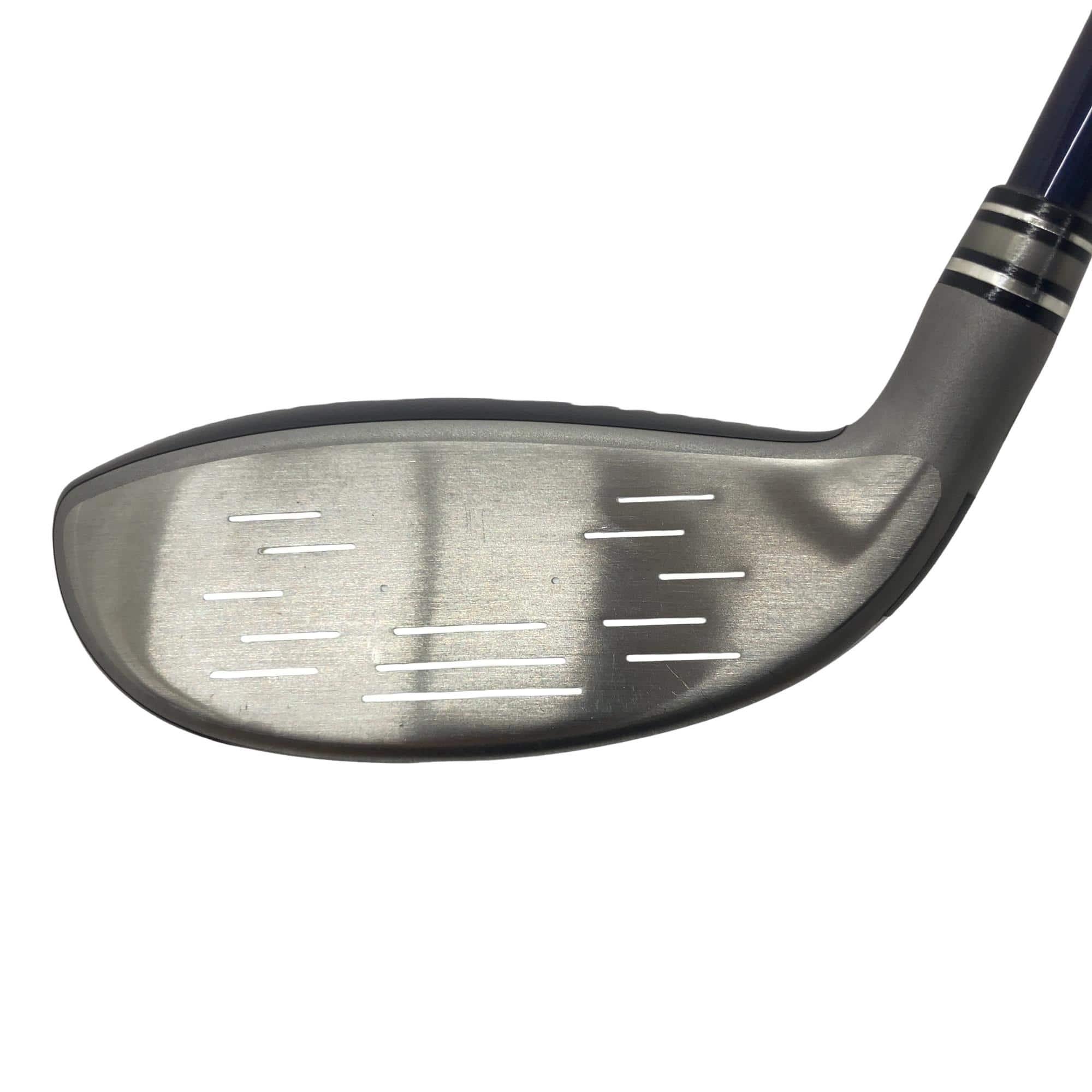 �w�w�h�n�i�Q�O�P�W�j�@�g�T