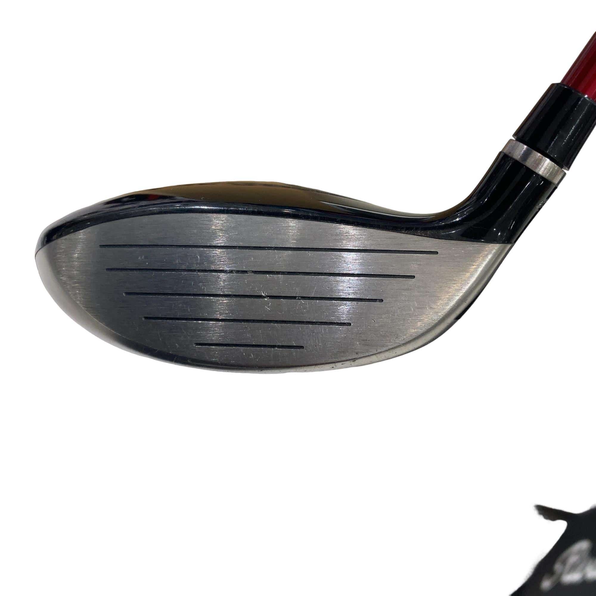 �q�l�w�@�u�c�@�T�v