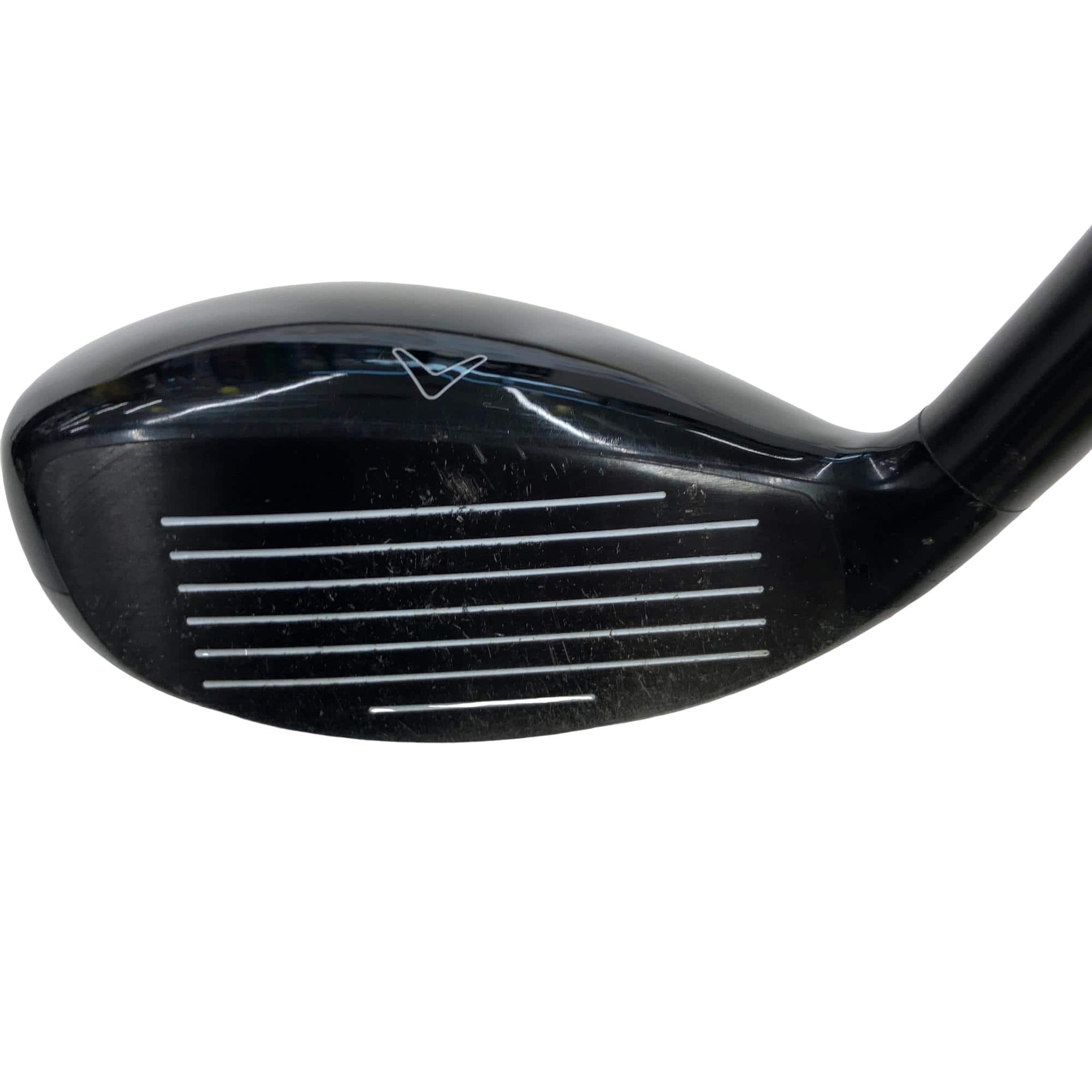 �w�Q�@�g�n�s�@�t�T