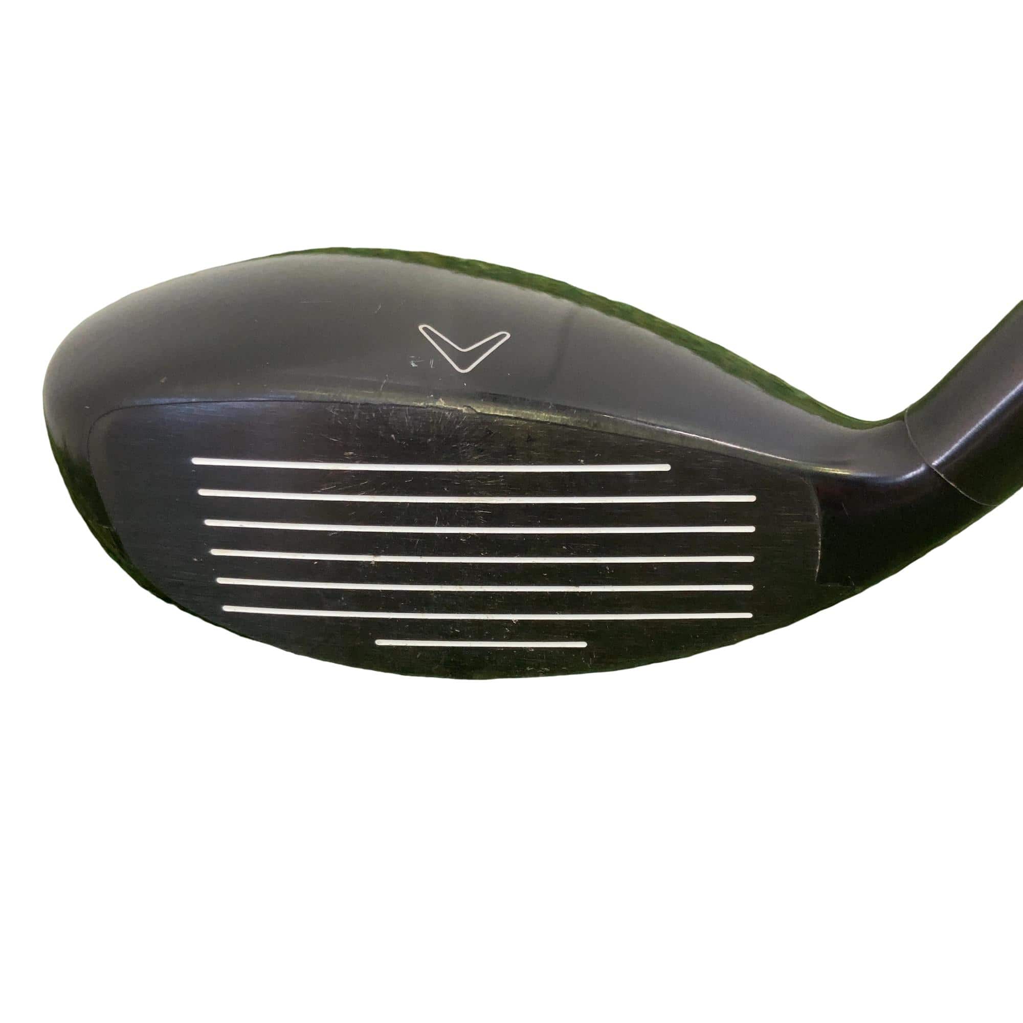 �w�Q�@�g�n�s�@�t�R