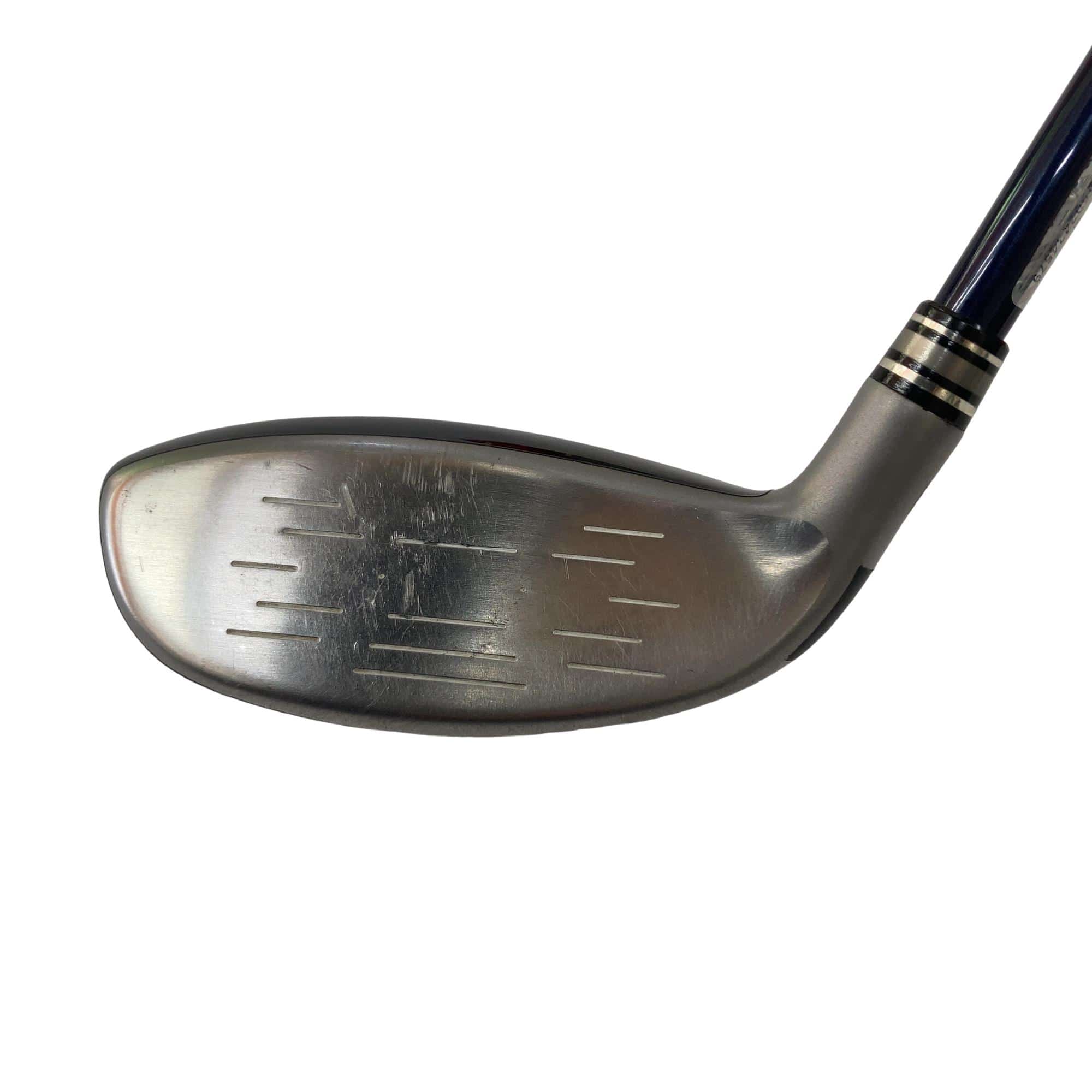 �w�w�h�n�i�Q�O�P�W�j�@�g�U