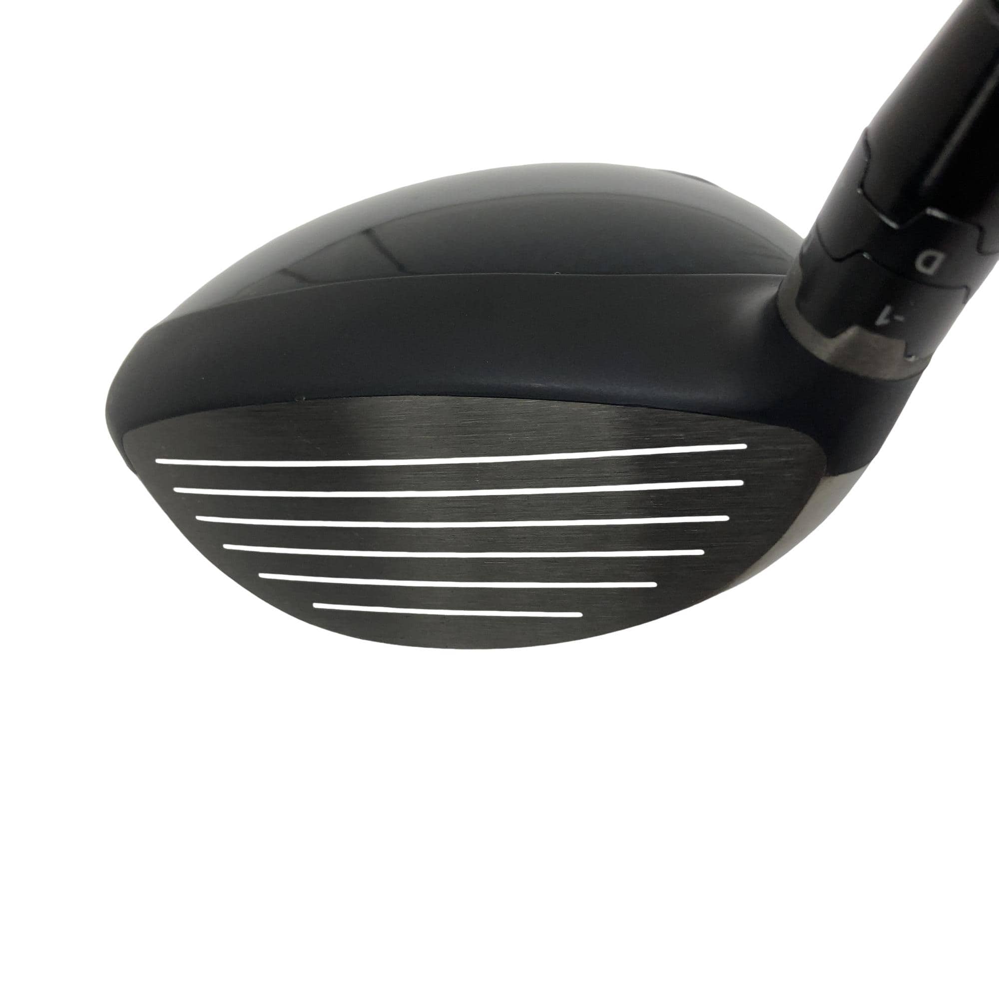 �o�`�q�`�c�x�l�@�������@�T�v