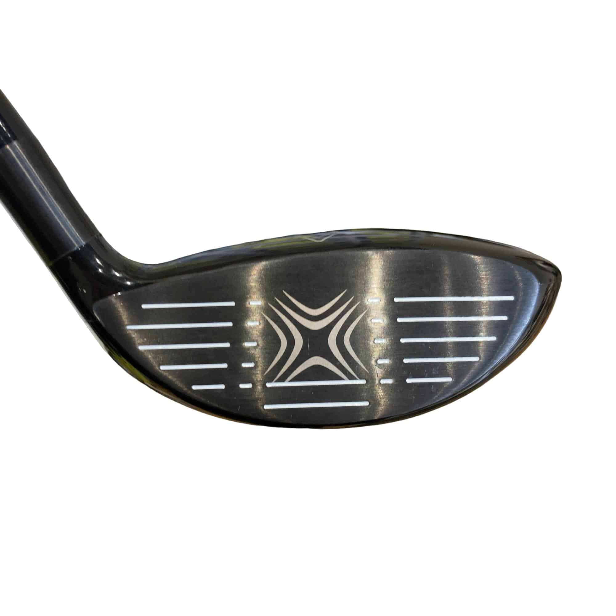 �w�Q�@�g�n�s�@�@�T�v�@���t�e�B