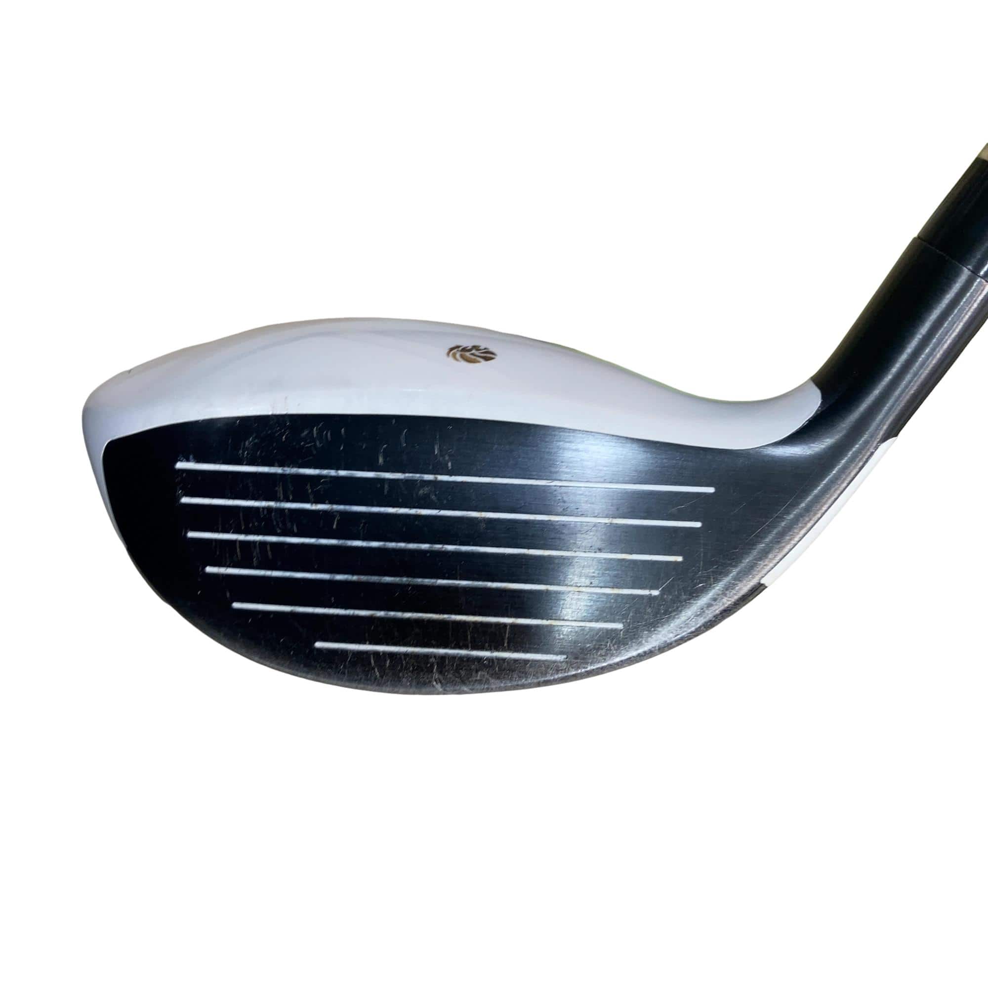 �f�k�n�h�q�d�@�e�i�Q�O�P�U�j�@�T�v