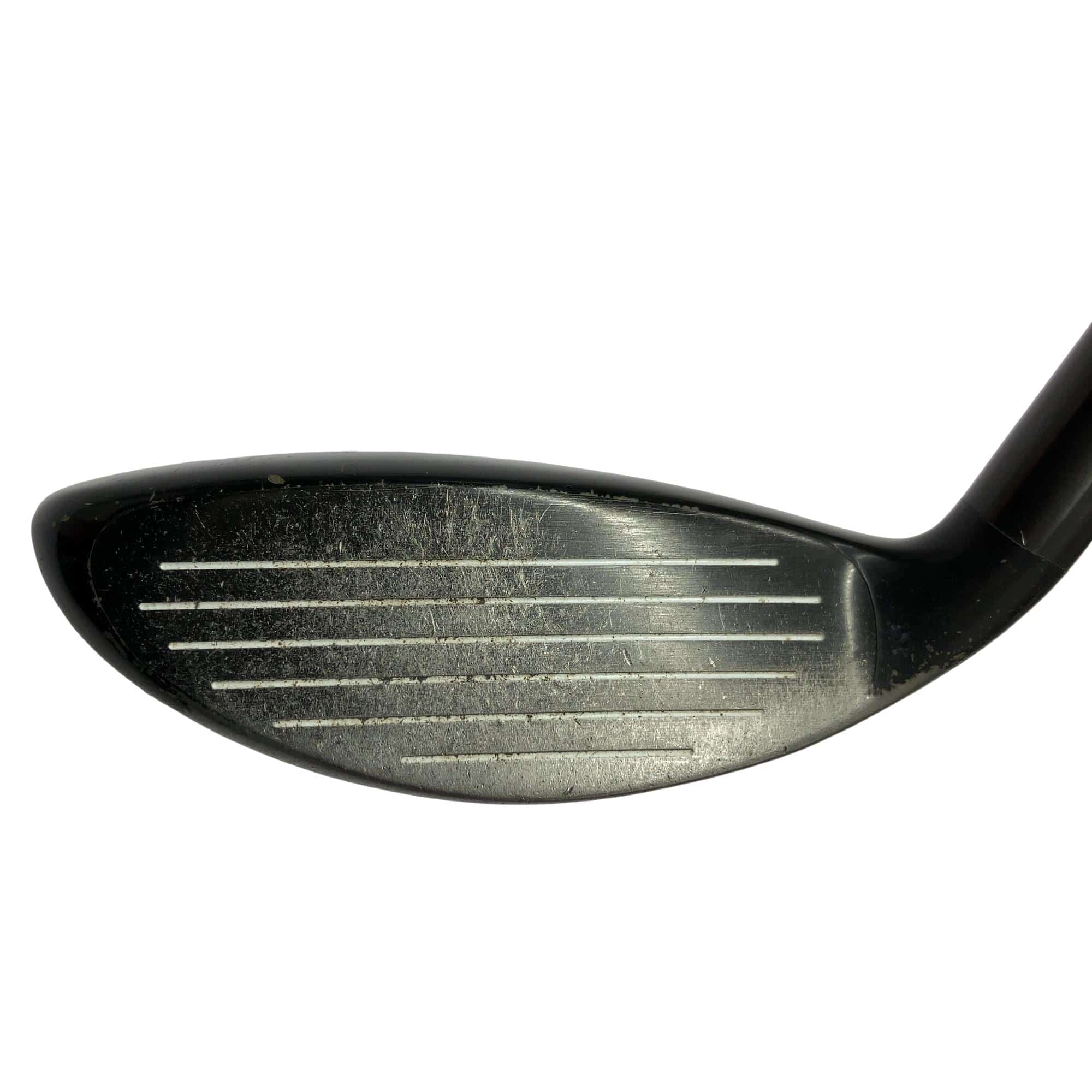 �w�@�g�n�s�@�t�T