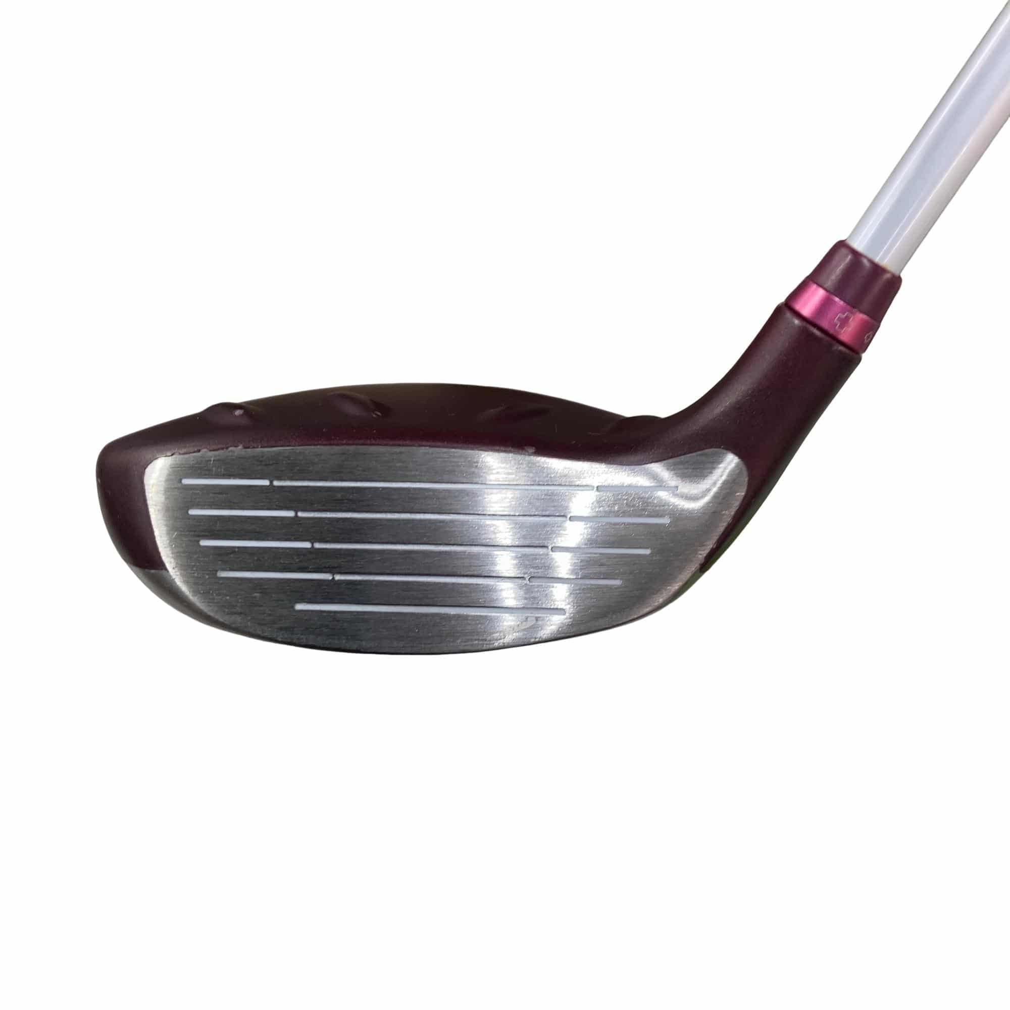 �f�@�k���Q�@�T�v�@���f�B�[�X