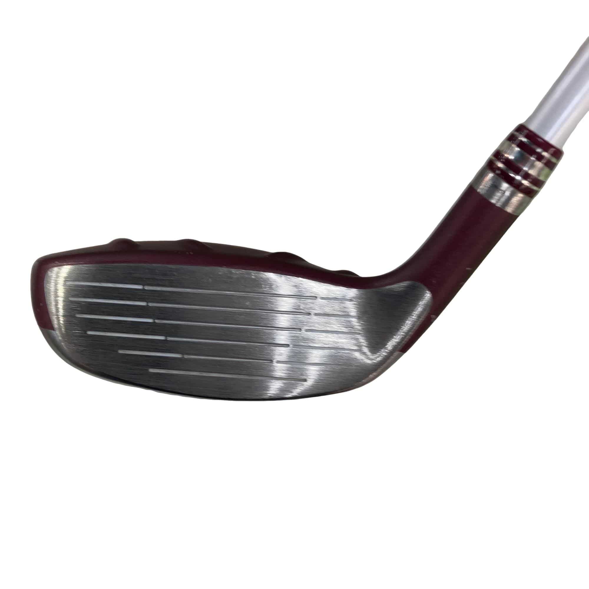 �f�@�k���Q�@�t�T�@���f�B�[�X