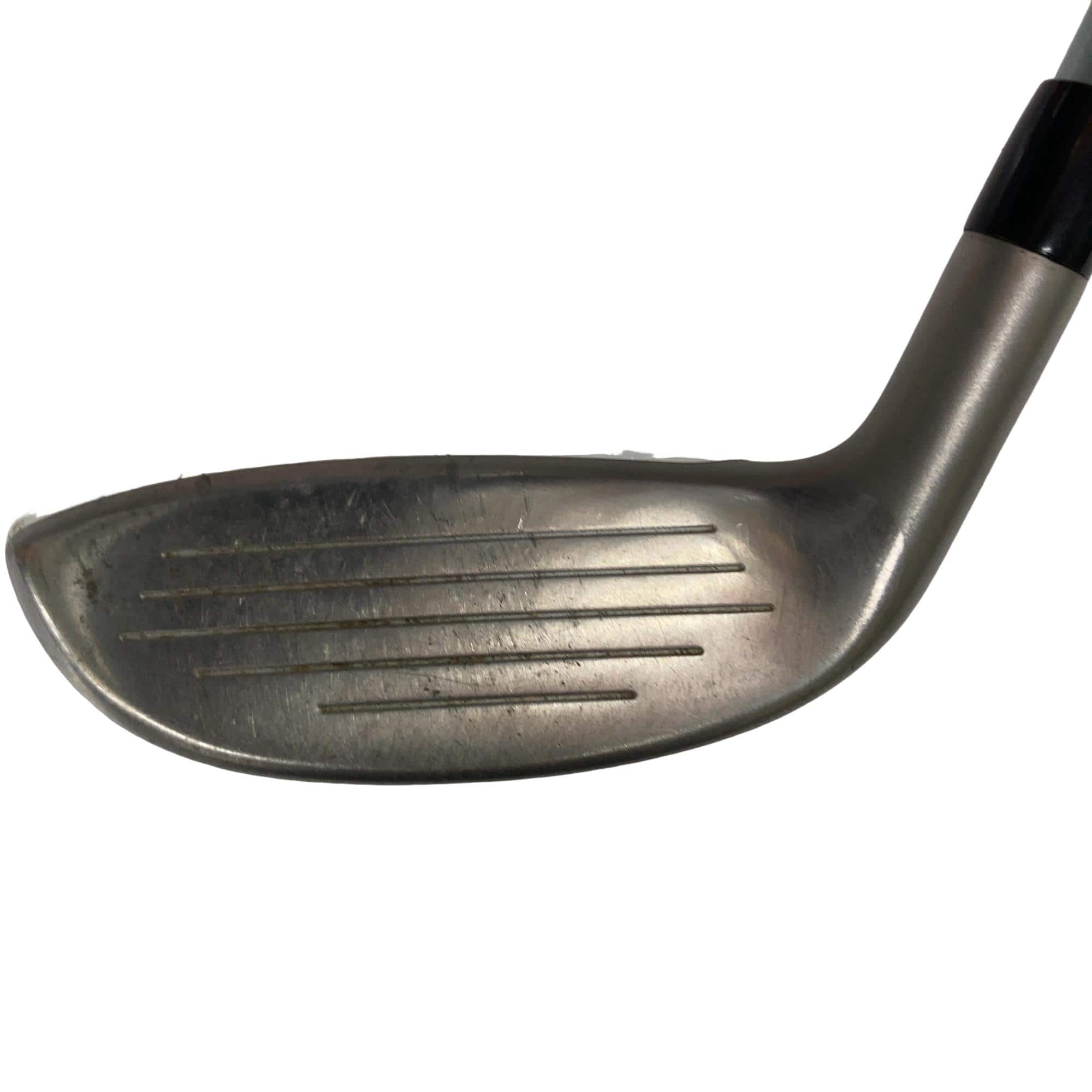 �a�q�|�w�@�t�U�@���f�B�[�X