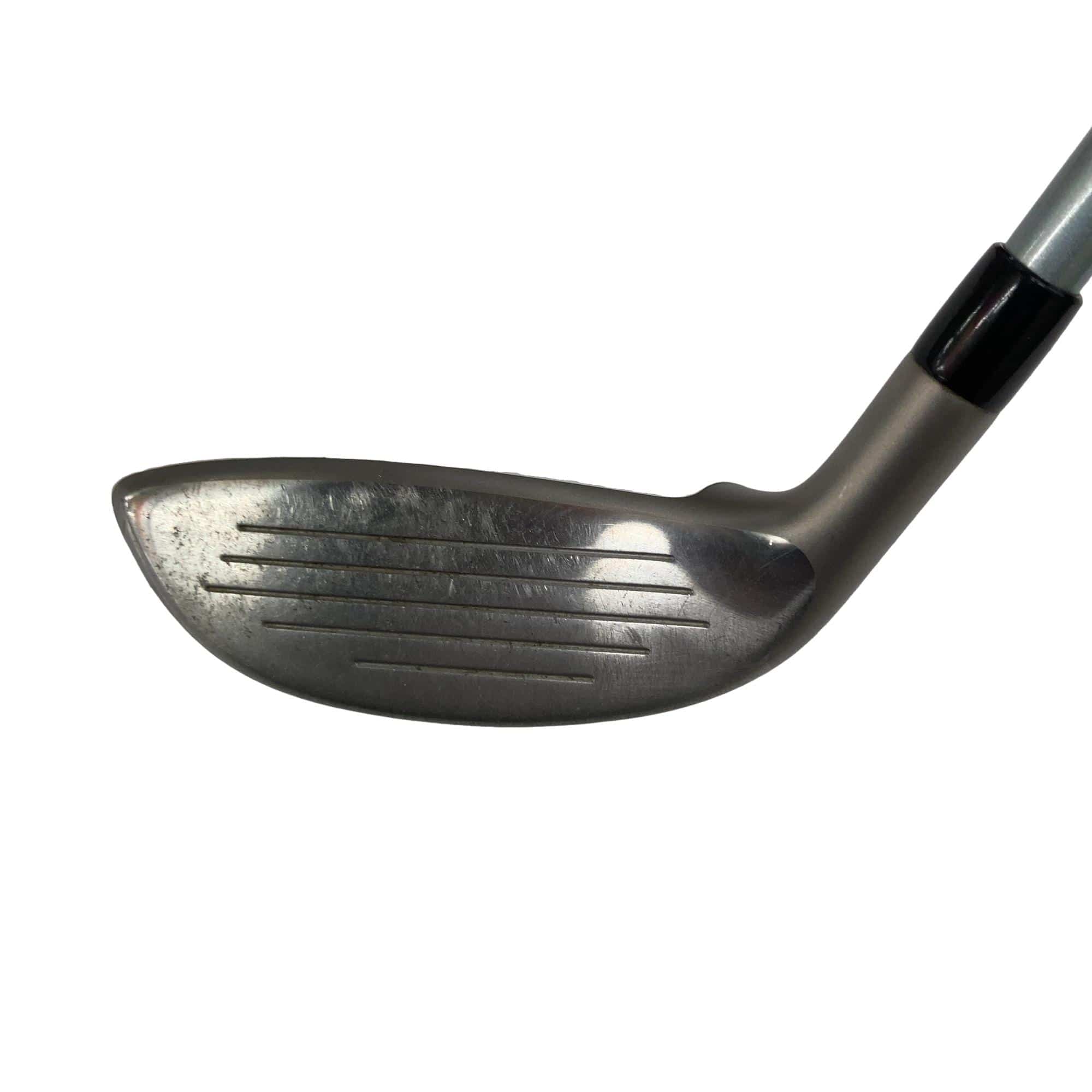 �a�q�|�w�@�t�T�@���f�B�[�X