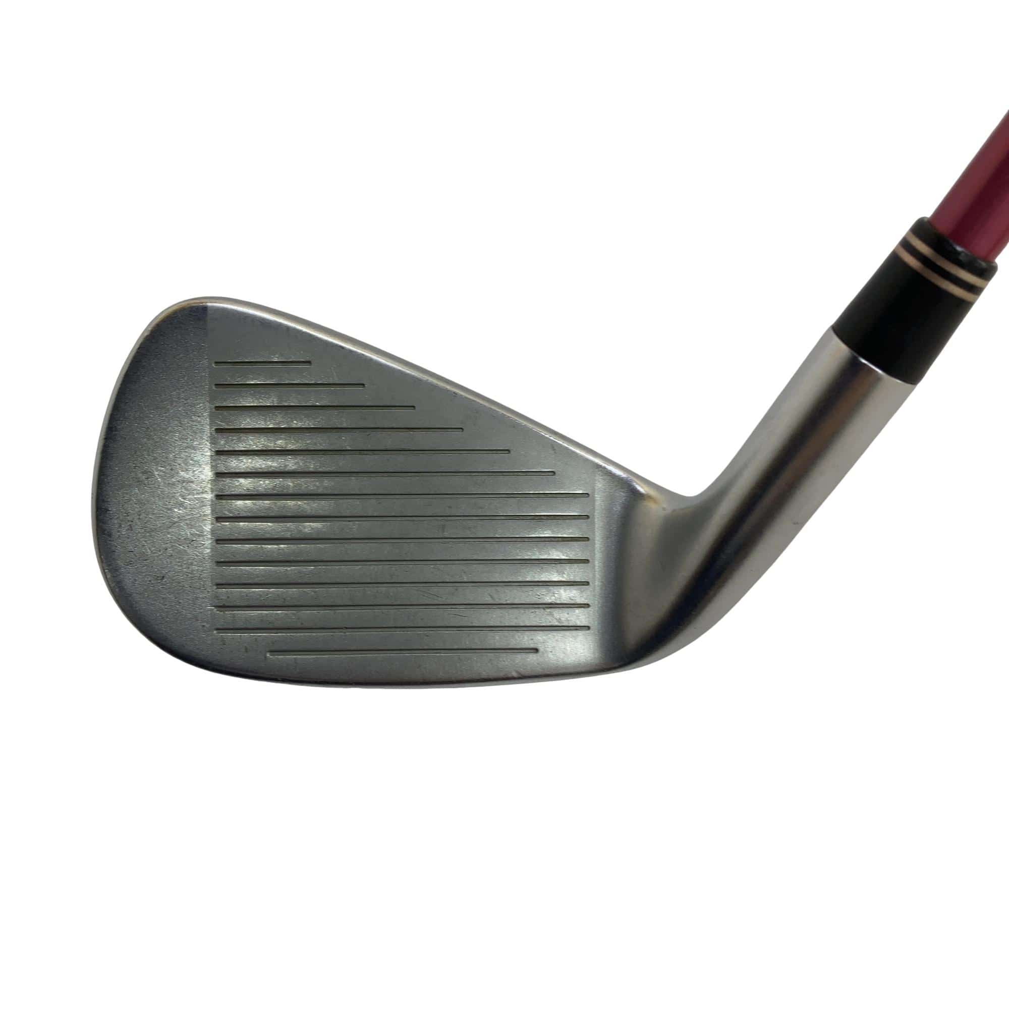 �q�X�@�l�`�w�@�T�r�@���f�B�[�X�i���{���F�T�{�Z�b�g�j