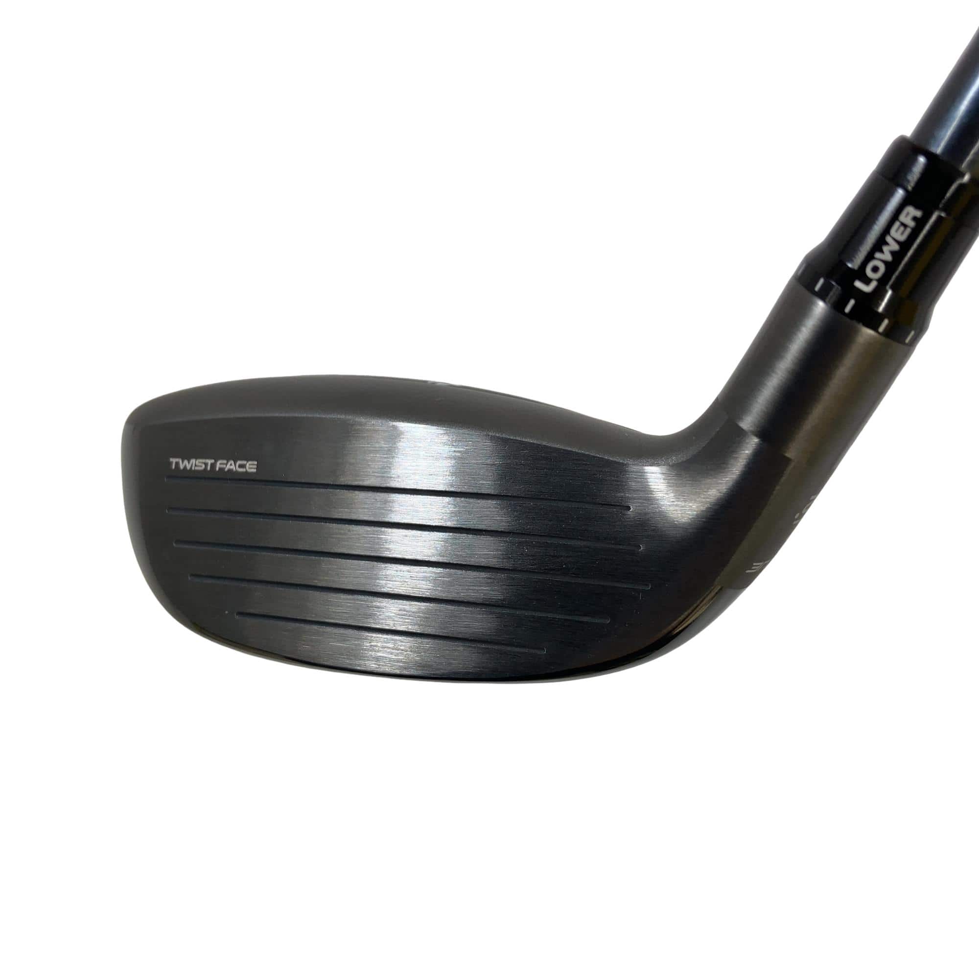 �p���R�T�@�t�S