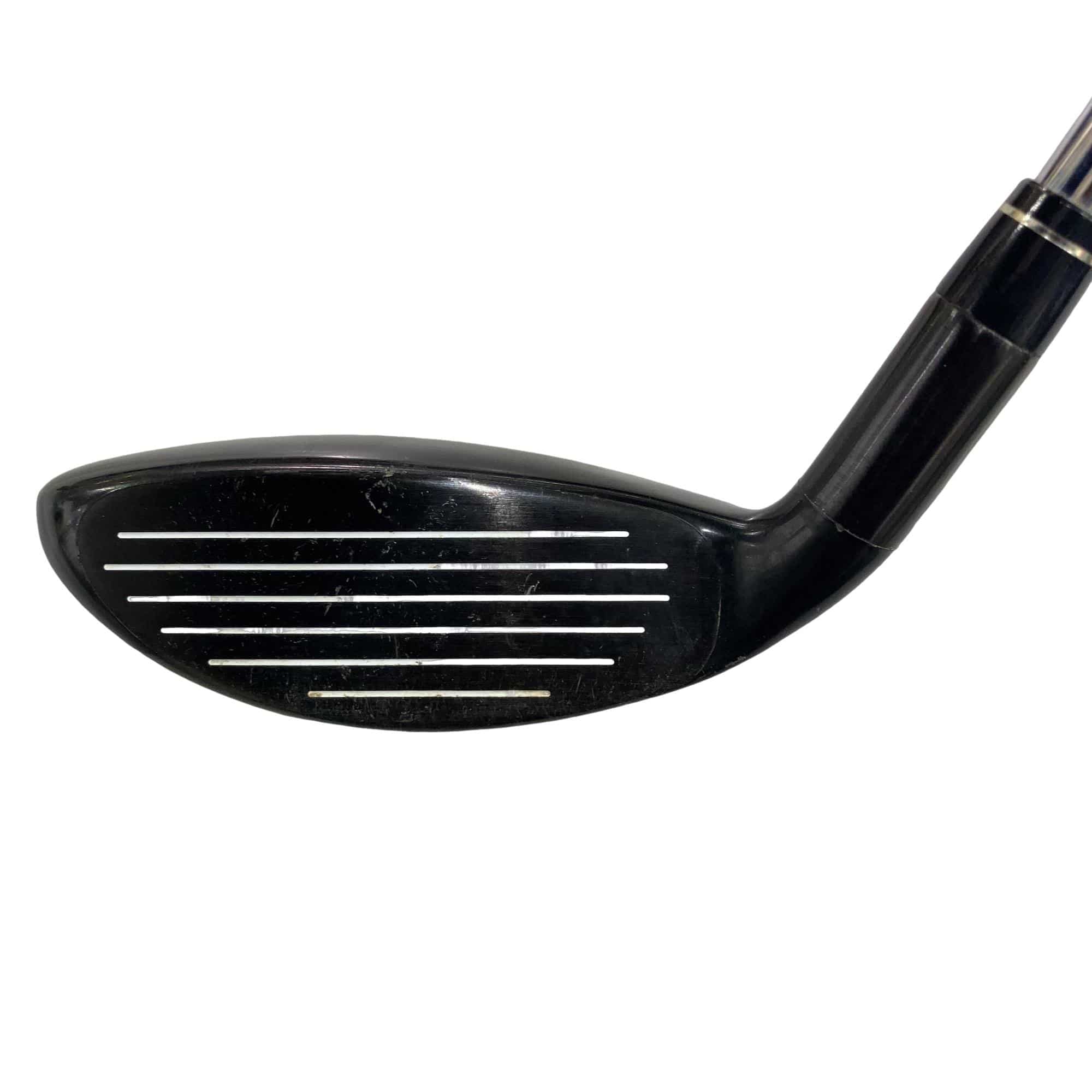 �w�@�g�n�s�@�t�R