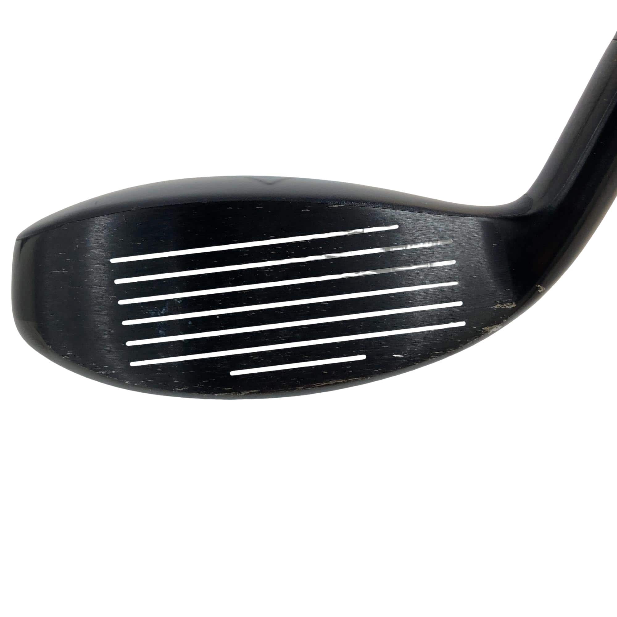 �w�q�@�t�S